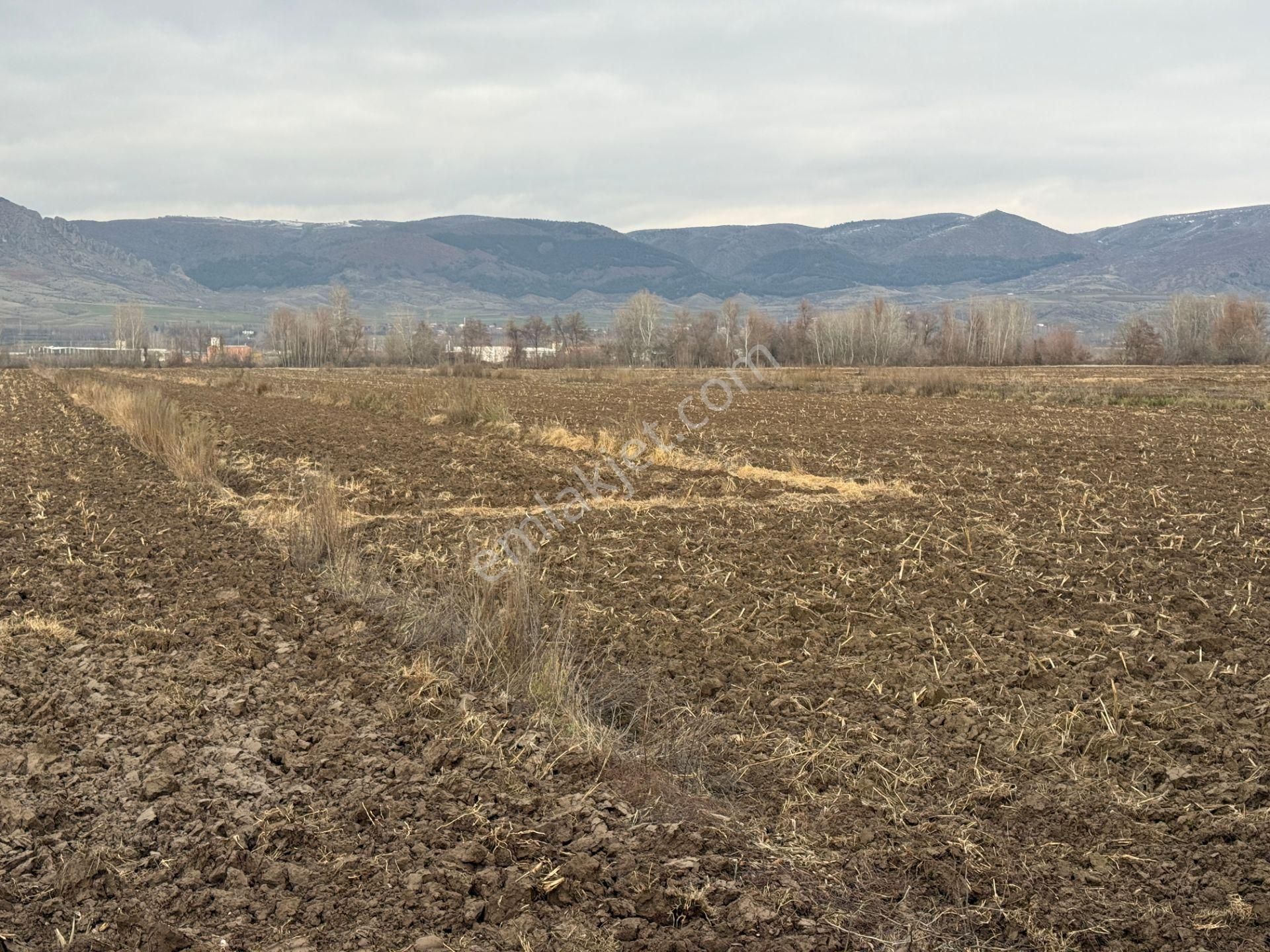 Yankıdan Pazar Ovayurt Köyü Suyu Yolu Olan 5.578m2 Satılık Tarla - Görsel 4