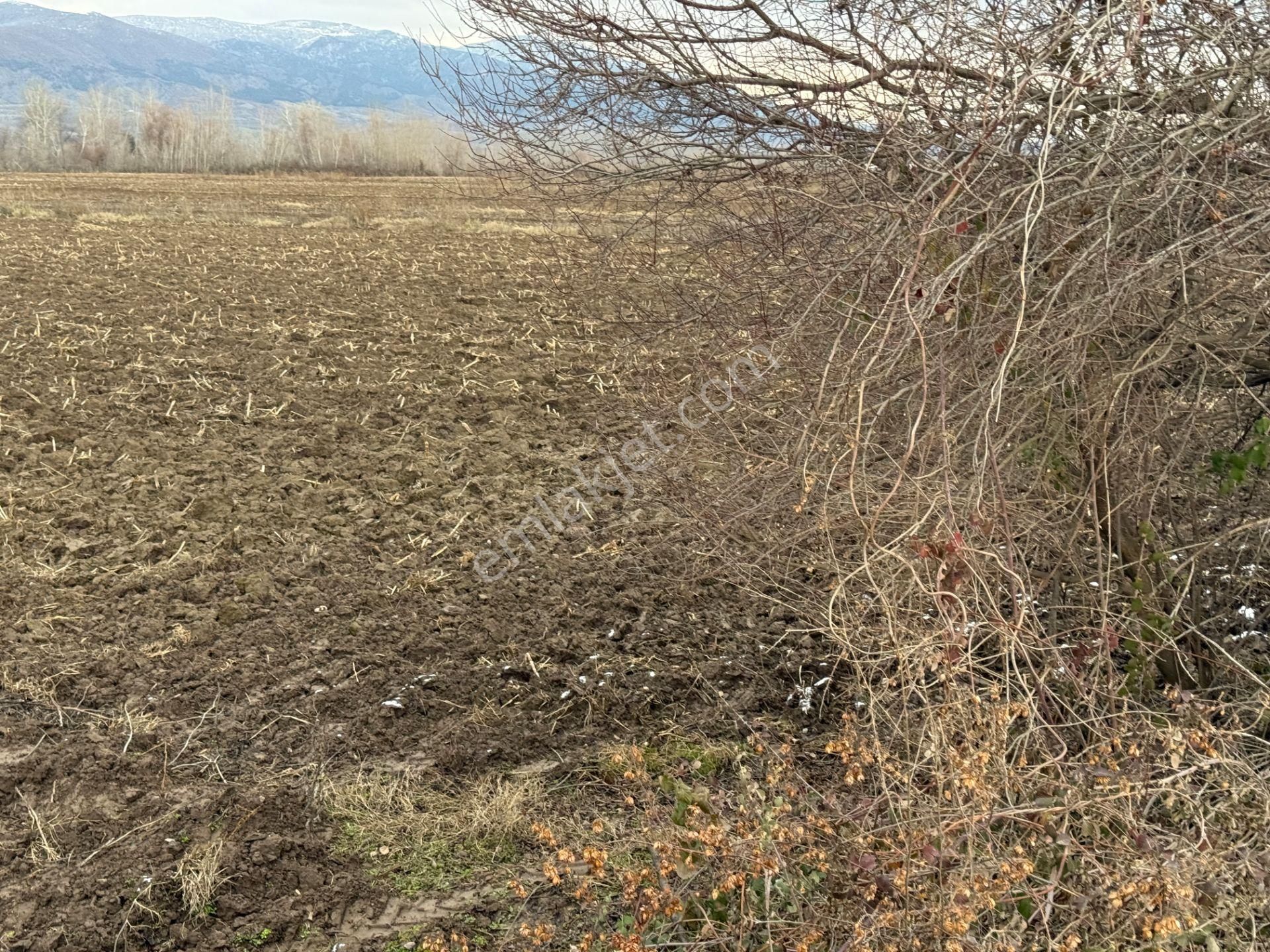 Yankıdan Pazar Ovayurt Köyü Suyu Yolu Olan 5.578m2 Satılık Tarla - Görsel 3