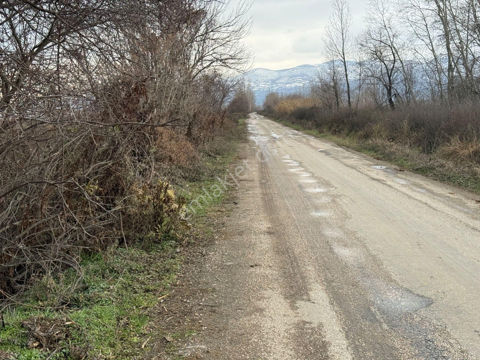 Yankıdan Pazar Ovayurt Köyü Suyu Yolu Olan 5.578m2 Satılık Tarla - Görsel 7