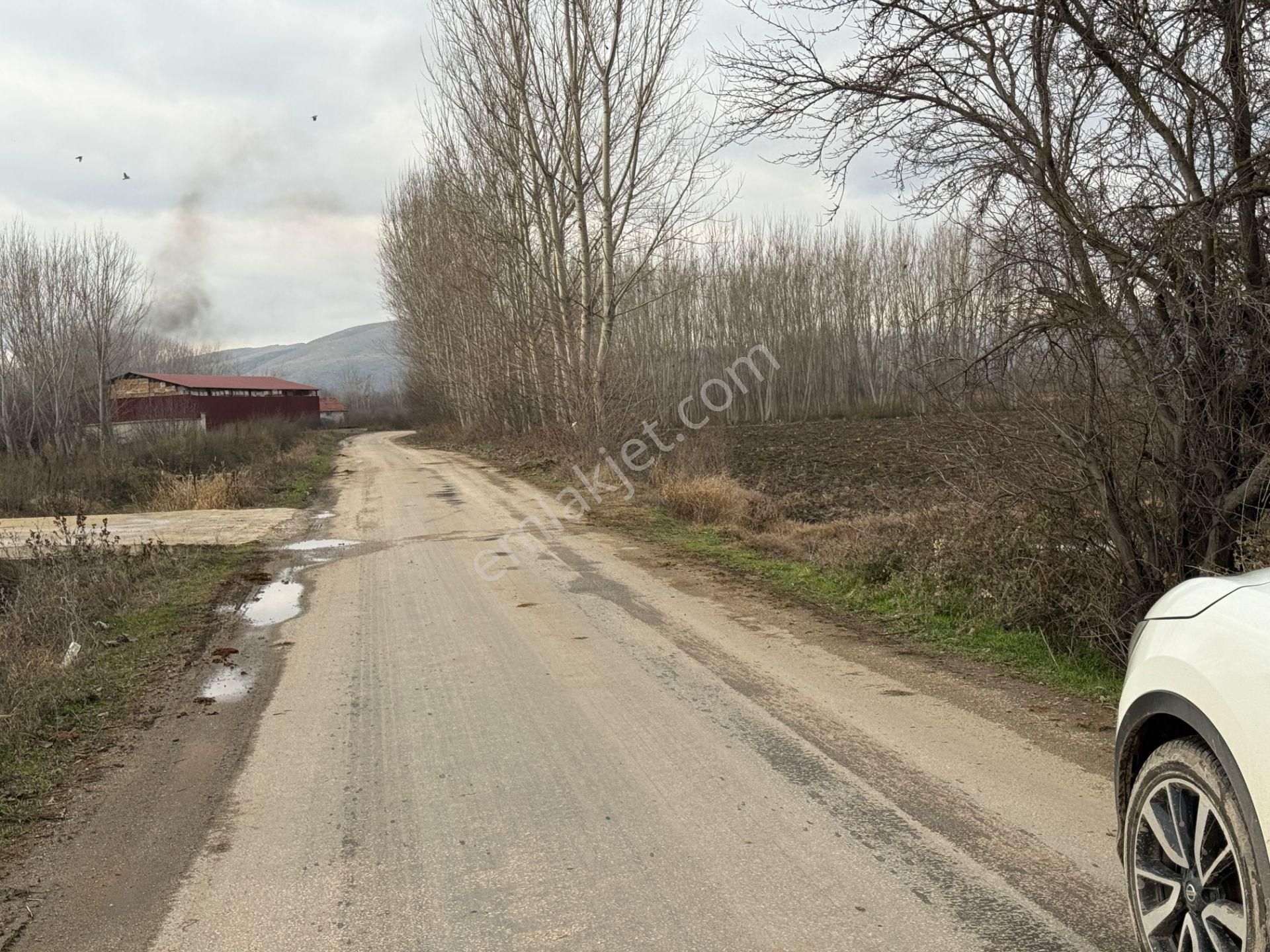 Yankıdan Pazar Ovayurt Köyü Suyu Yolu Olan 5.578m2 Satılık Tarla - Görsel 9