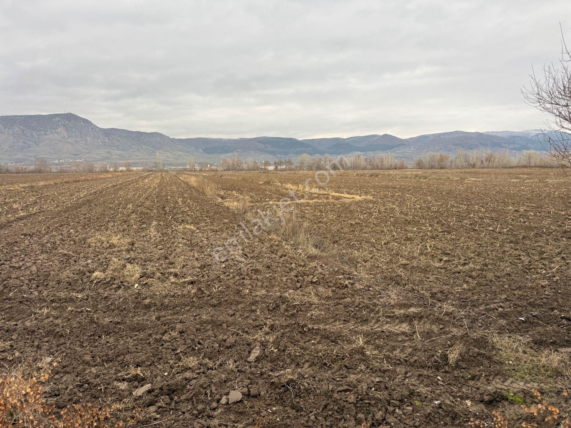 Yankıdan Pazar Ovayurt Köyü Suyu Yolu Olan 5.578m2 Satılık Tarla