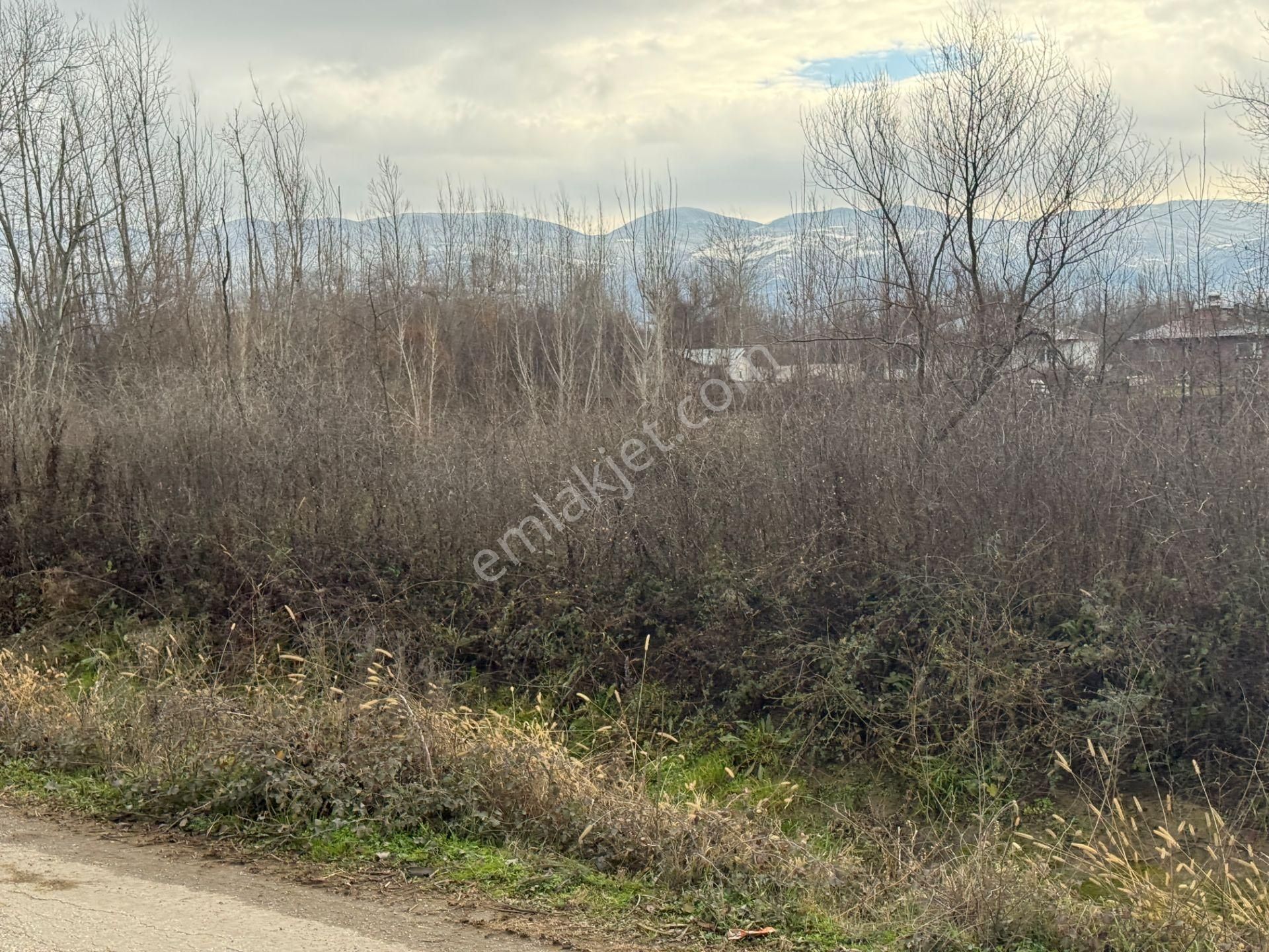 Yankıdan Pazar Ovayurt Köyü Suyu Yolu Olan 5.578m2 Satılık Tarla - Görsel 13