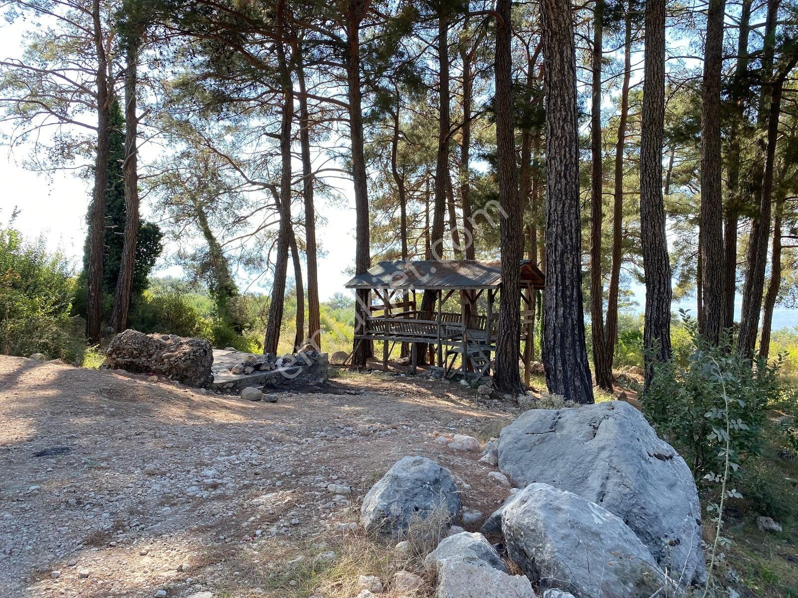 Uğur'dan S.kemer Bağlıağaç'ta Doğa İçinde Kaçırılmayacak Fırsat - Görsel 6