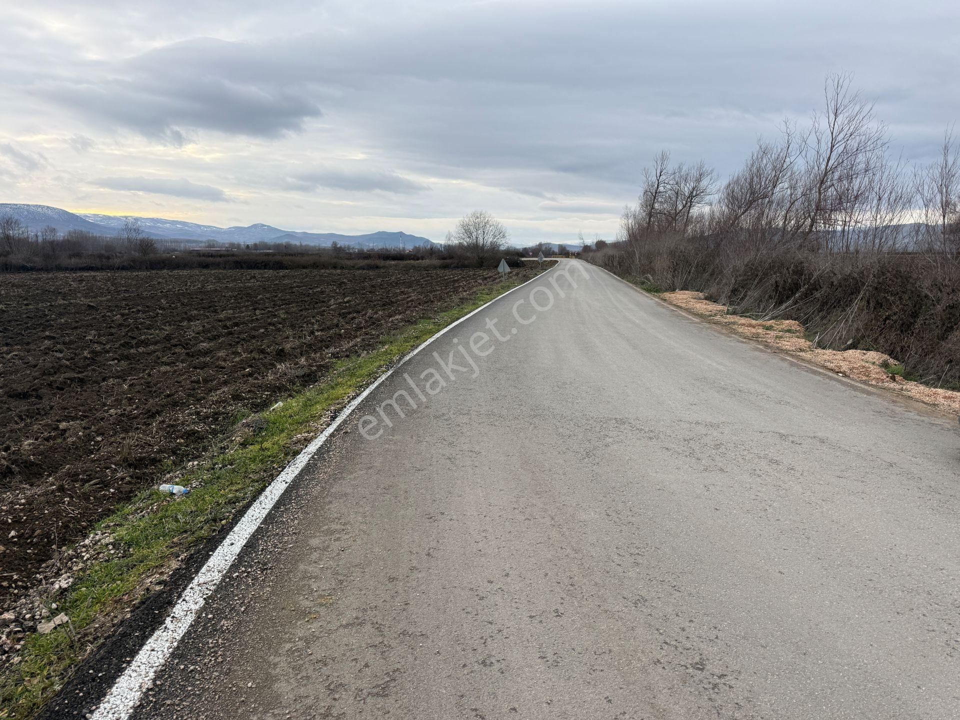 Yankıdan Pazar Ovayurt Köyü Suyu Yolu Olan 7.828m2 Satılık Tarla - Görsel 22