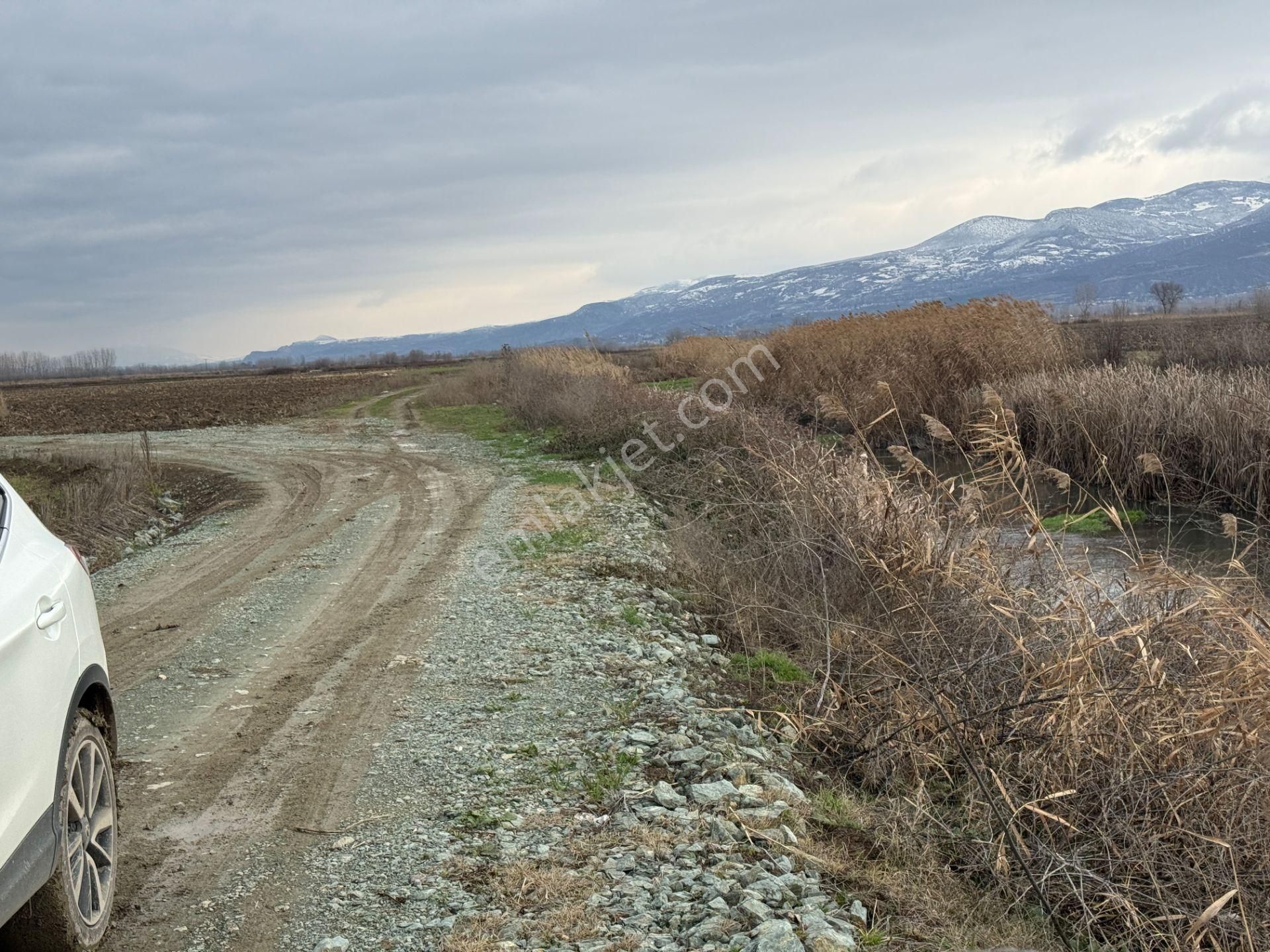 Yankıdan Pazar Ovayurt Köyü Suyu Yolu Olan 7.828m2 Satılık Tarla - Görsel 11