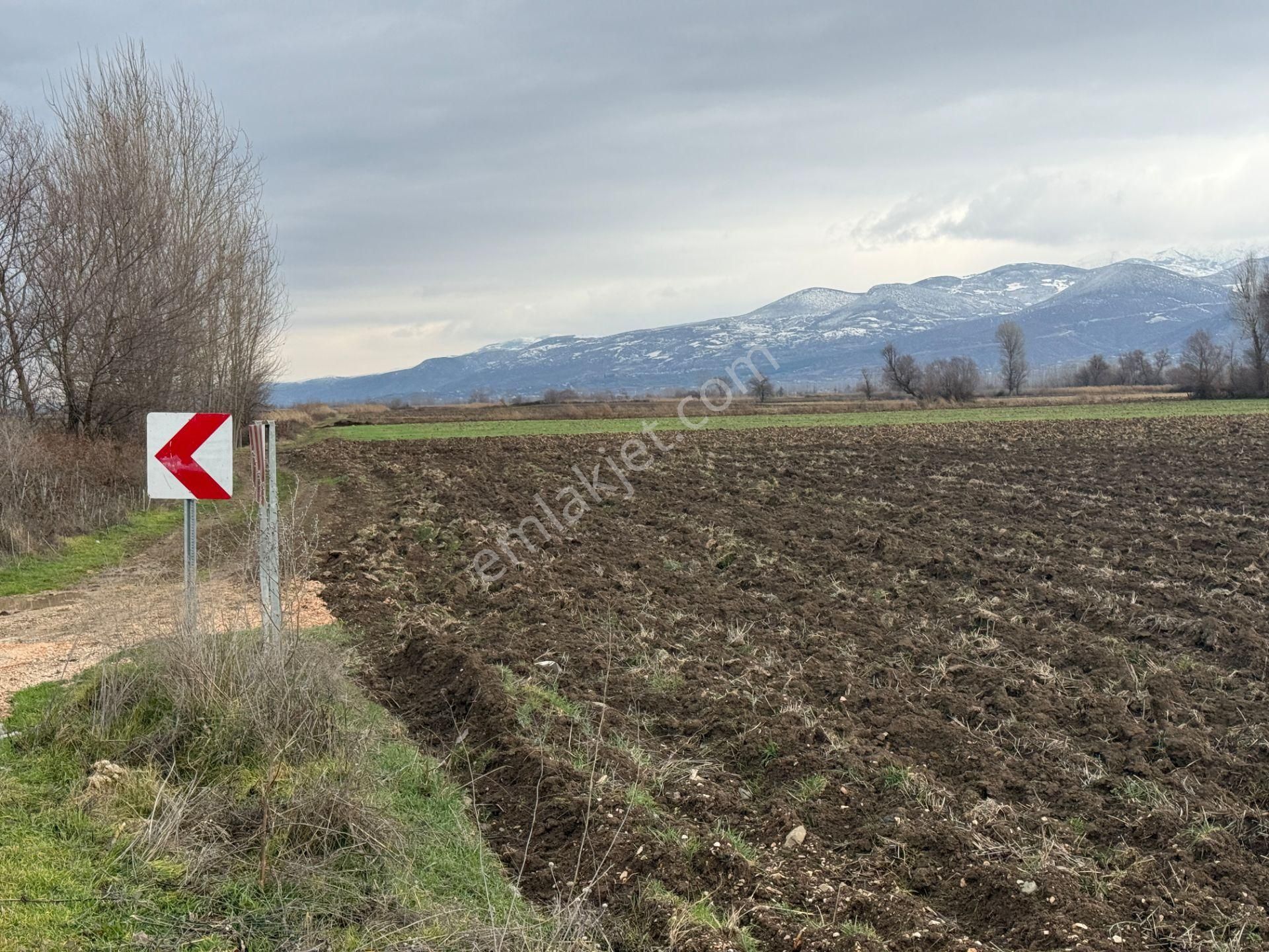 Yankıdan Pazar Ovayurt Köyü Suyu Yolu Olan 7.828m2 Satılık Tarla - Görsel 19