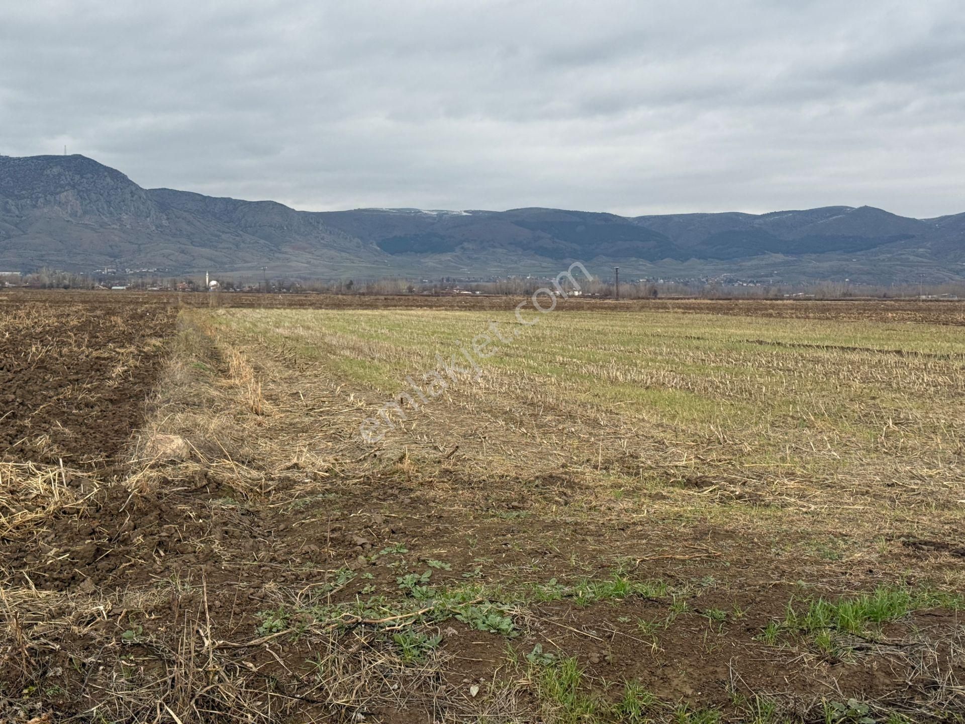 Yankıdan Pazar Ovayurt Köyü Suyu Yolu Olan 7.828m2 Satılık Tarla - Görsel 4