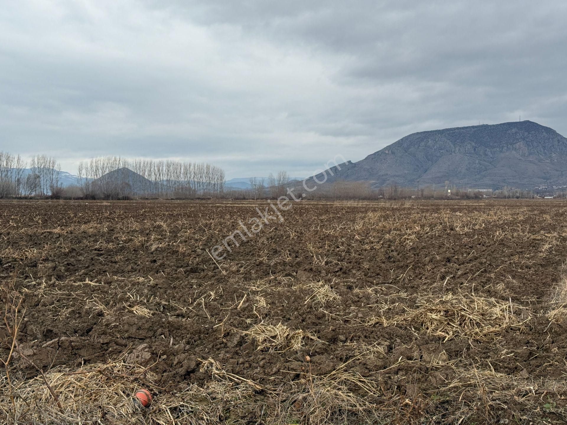 Yankıdan Pazar Ovayurt Köyü Suyu Yolu Olan 7.828m2 Satılık Tarla - Görsel 3