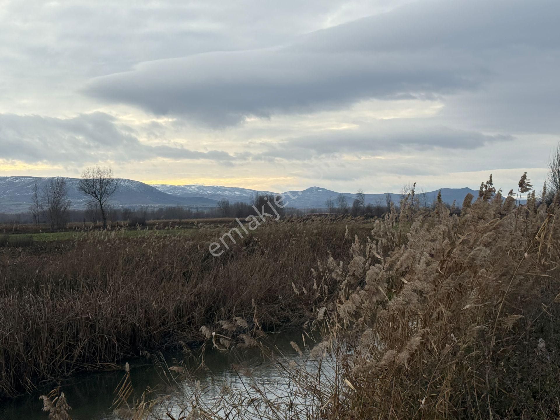 Yankıdan Pazar Ovayurt Köyü Suyu Yolu Olan 7.828m2 Satılık Tarla - Görsel 8