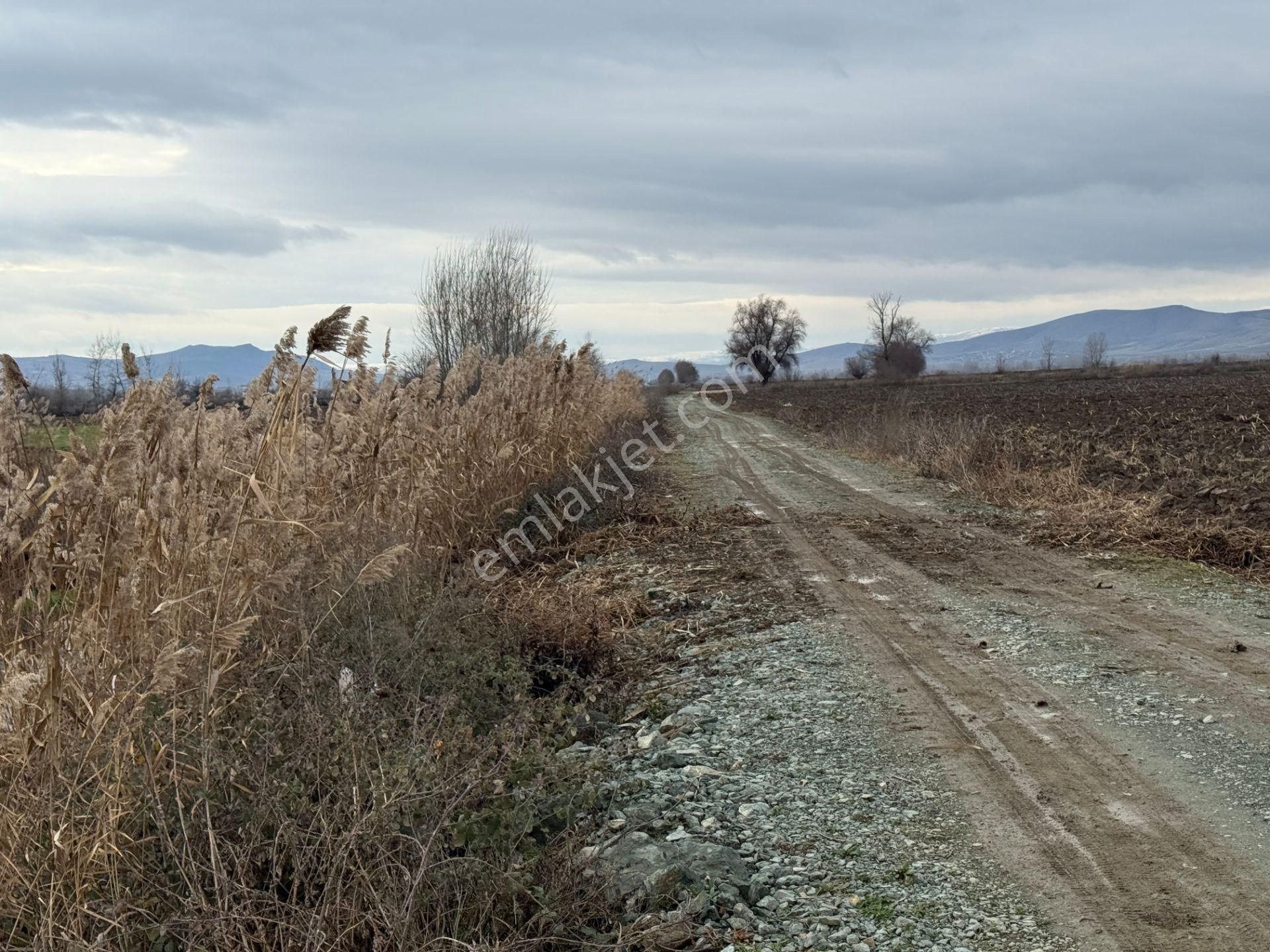 Yankıdan Pazar Ovayurt Köyü Suyu Yolu Olan 7.828m2 Satılık Tarla - Görsel 9