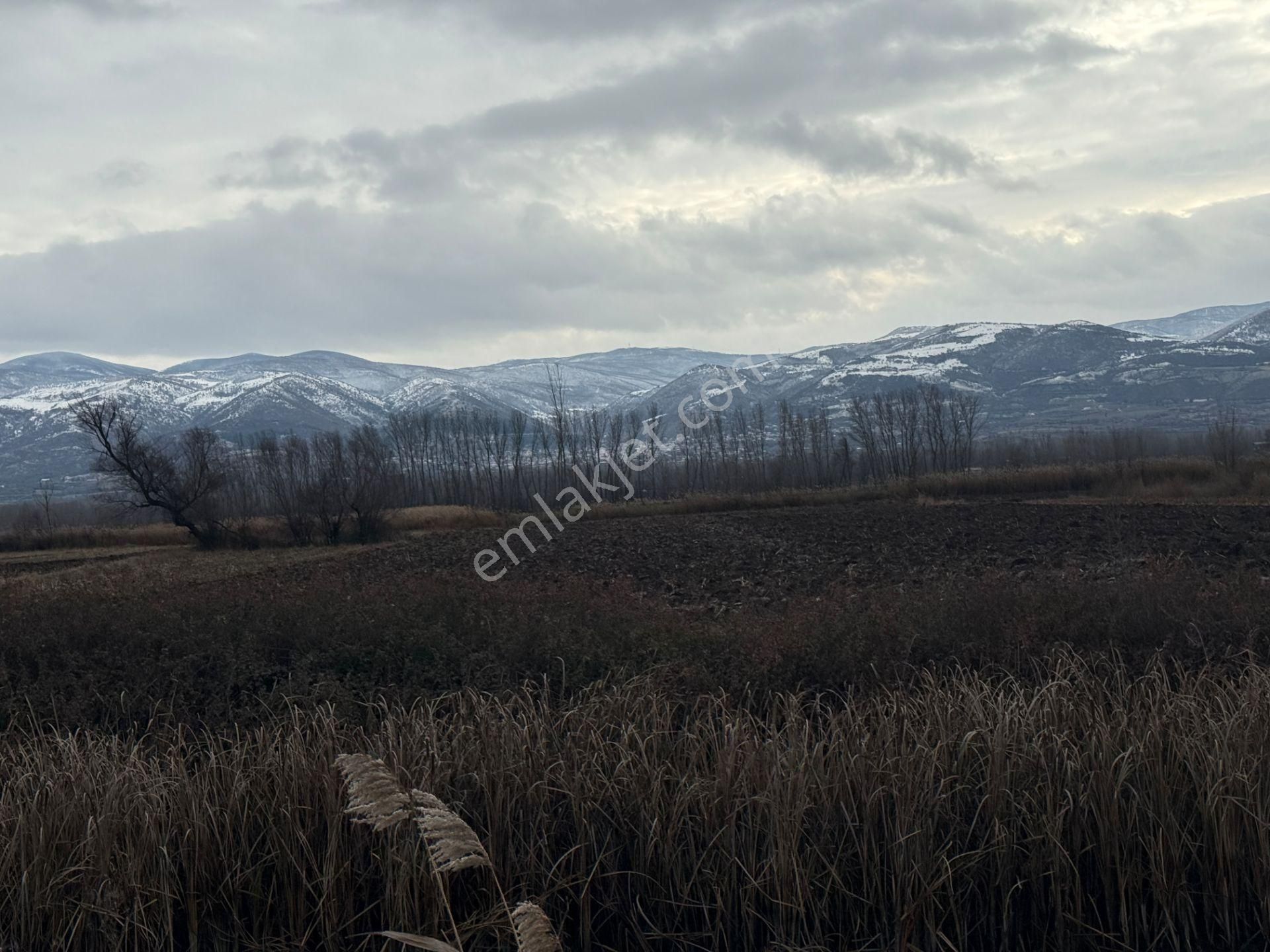 Yankıdan Pazar Ovayurt Köyü Suyu Yolu Olan 7.828m2 Satılık Tarla