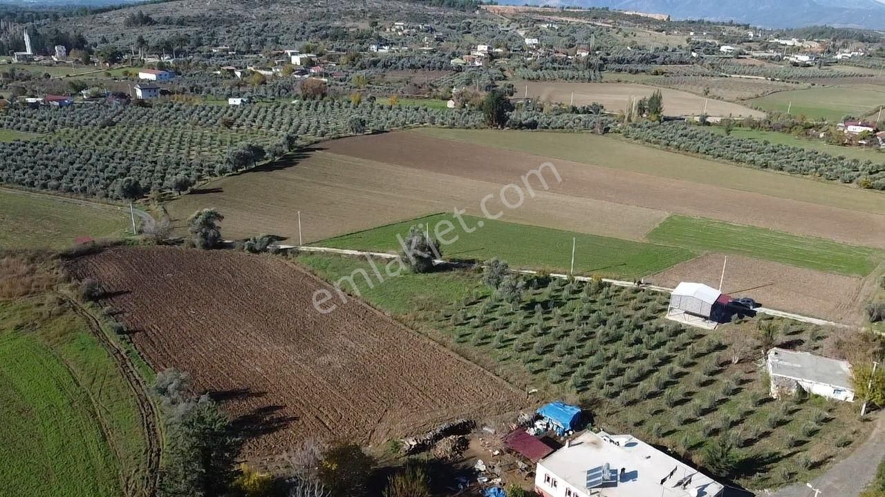 Uğur'dan S.kemer Kayadibinde 2460 M2 Yatırmlık Fırsat Arazi - Görsel 2