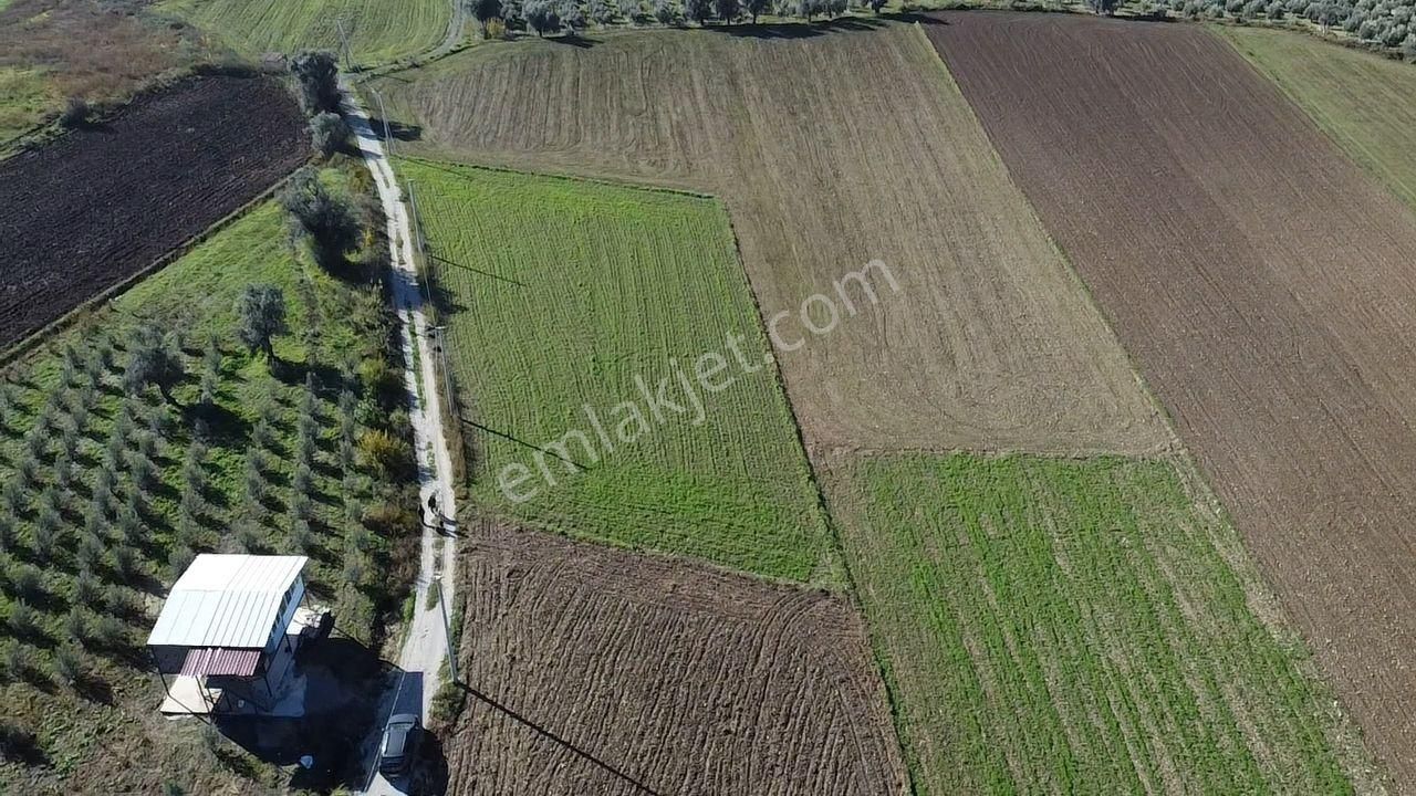 Uğur'dan S.kemer Kayadibinde 2460 M2 Yatırmlık Fırsat Arazi - Görsel 9
