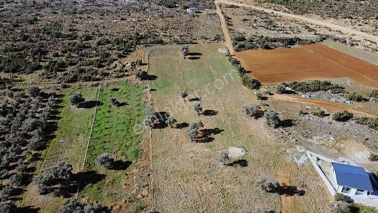 Seydikemer Kayadibinde 6180 M2 Büyük Yatırımlık Arazi - Görsel 3