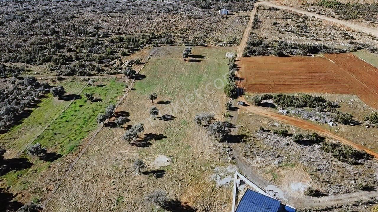 Seydikemer Kayadibinde 6180 M2 Büyük Yatırımlık Arazi - Görsel 16