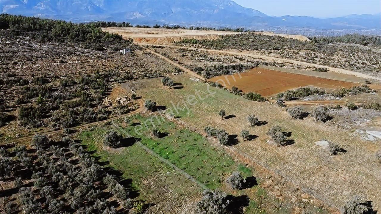 Seydikemer Kayadibinde 6180 M2 Büyük Yatırımlık Arazi - Görsel 33