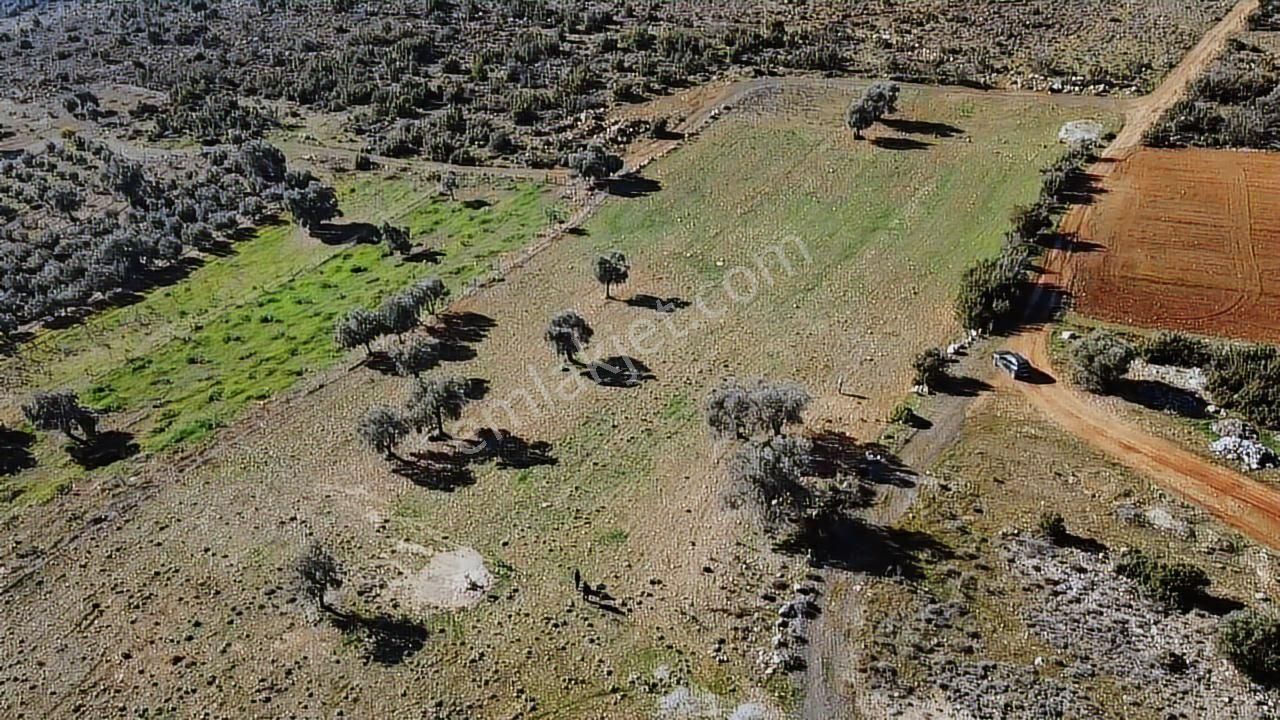Seydikemer Kayadibinde 6180 M2 Büyük Yatırımlık Arazi - Görsel 19