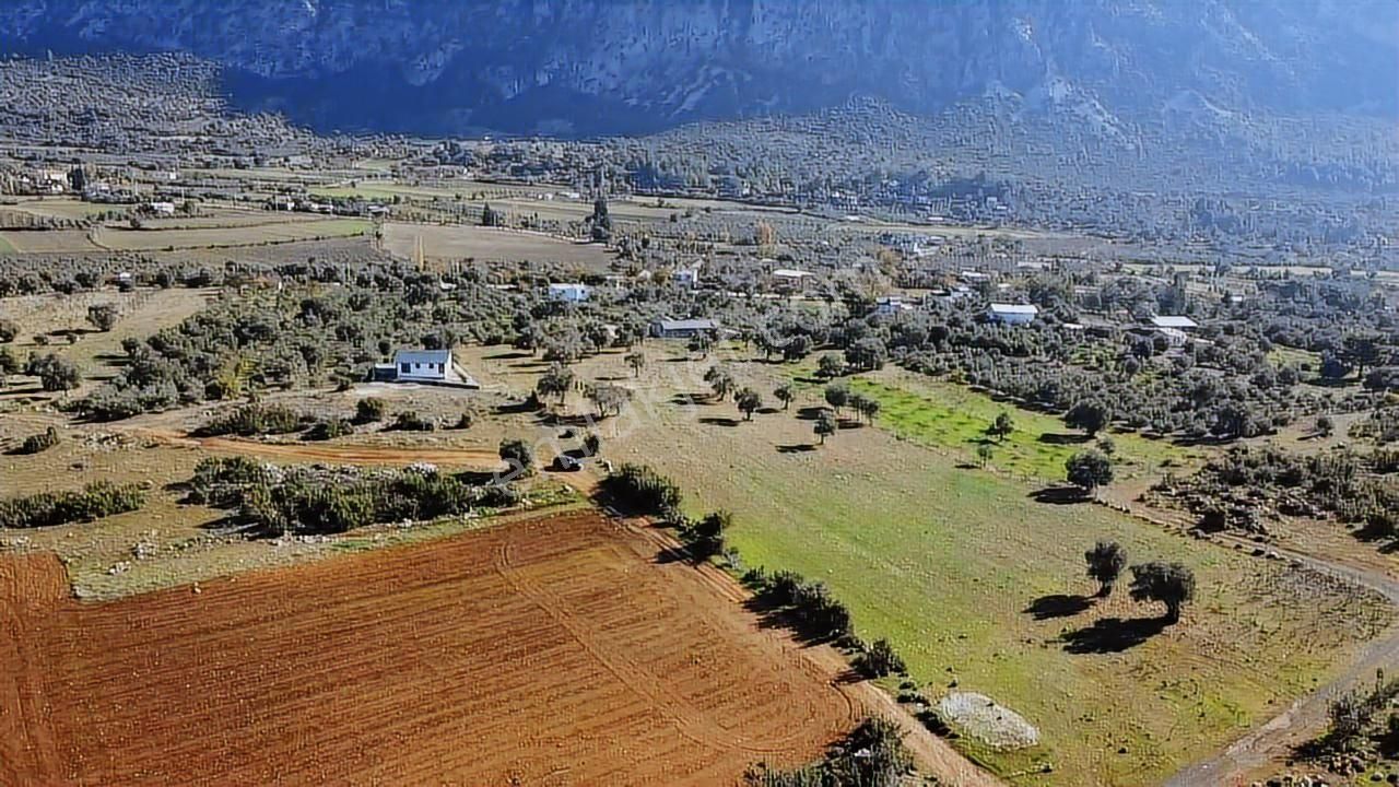 Seydikemer Kayadibinde 6180 M2 Büyük Yatırımlık Arazi - Görsel 7