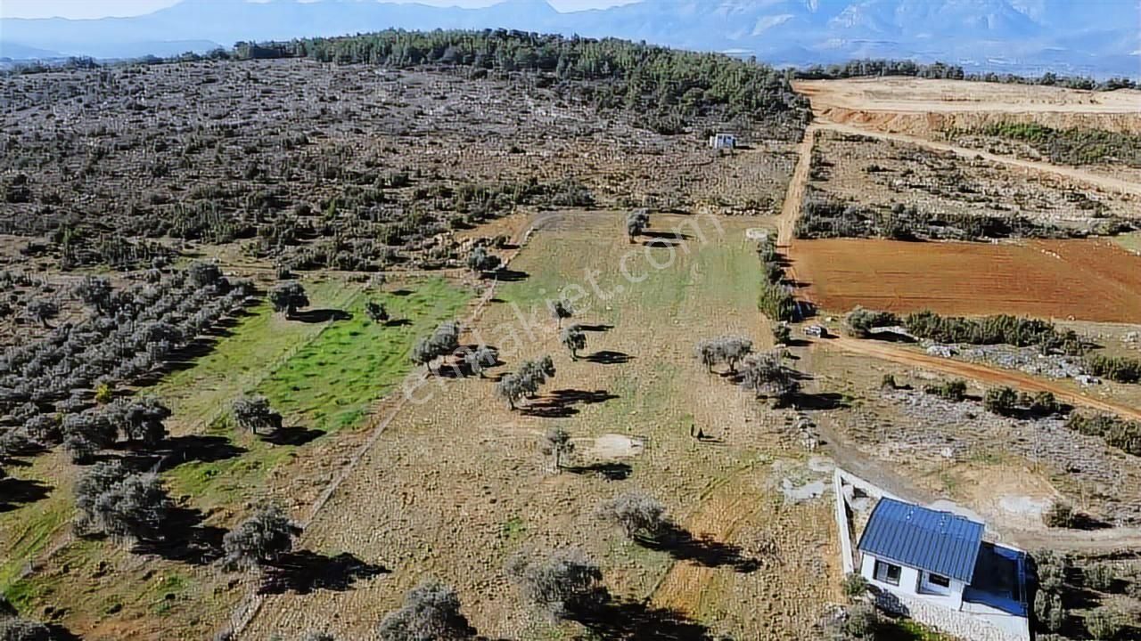 Seydikemer Kayadibinde 6180 M2 Büyük Yatırımlık Arazi - Görsel 8