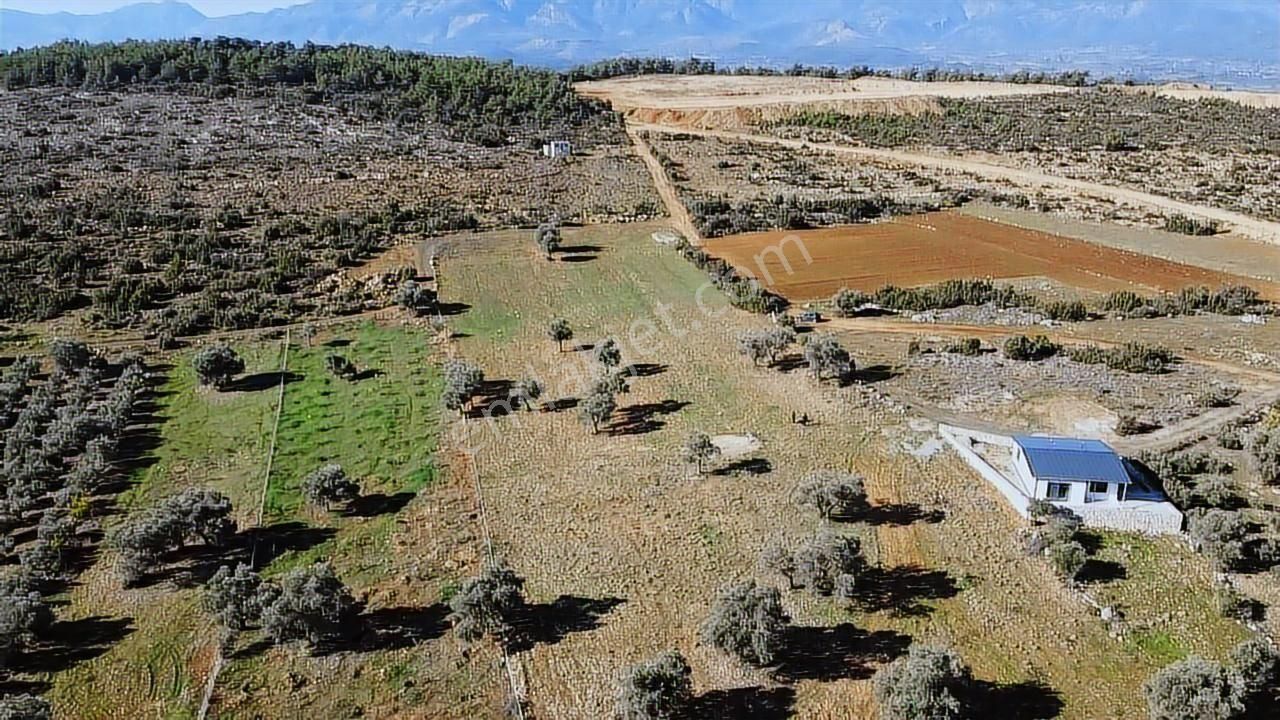 Seydikemer Kayadibinde 6180 M2 Büyük Yatırımlık Arazi - Görsel 15
