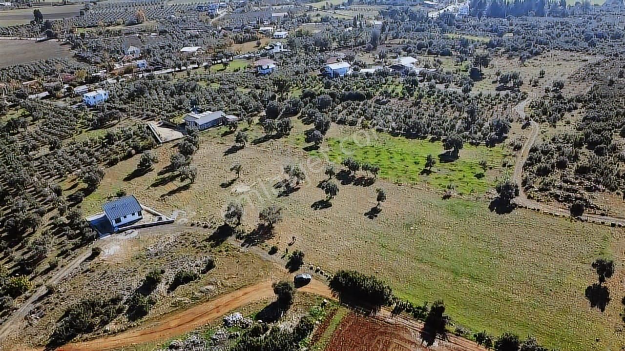 Seydikemer Kayadibinde 6180 M2 Büyük Yatırımlık Arazi - Görsel 2