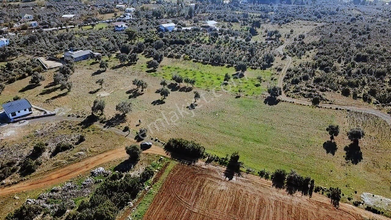 Seydikemer Kayadibinde 6180 M2 Büyük Yatırımlık Arazi - Görsel 29