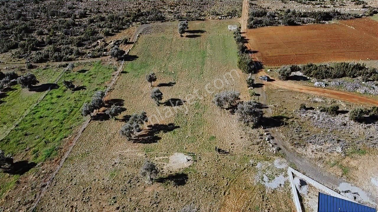 Seydikemer Kayadibinde 6180 M2 Büyük Yatırımlık Arazi - Görsel 13