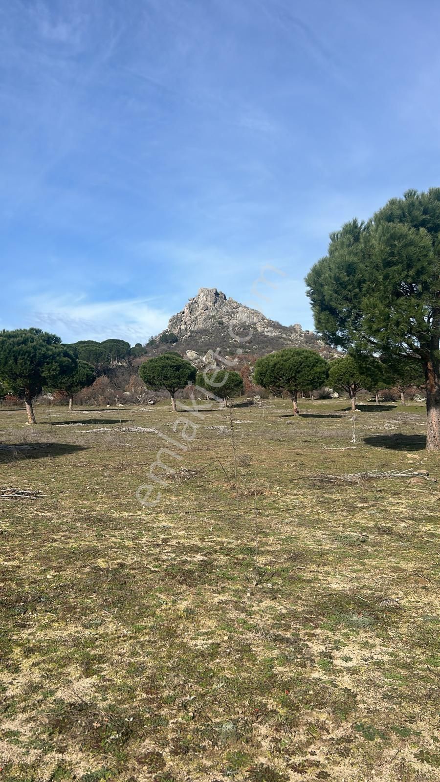 Ays Den Satılık Koop Arsası - Görsel 4