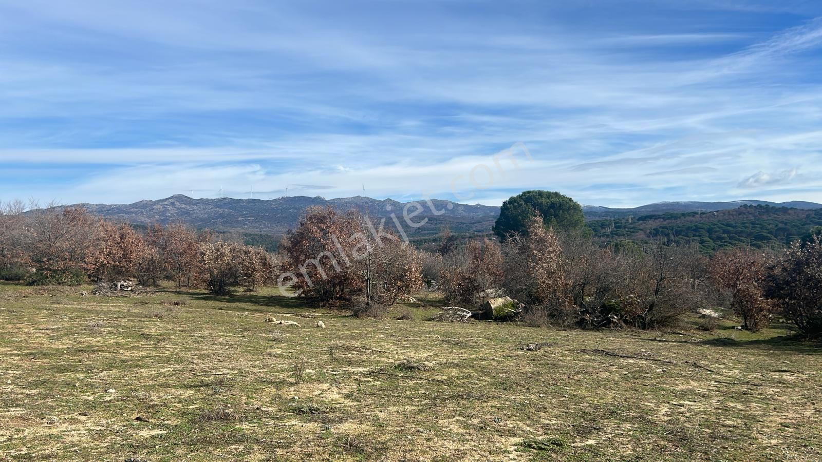 Ays Den Satılık Koop Arsası - Görsel 5