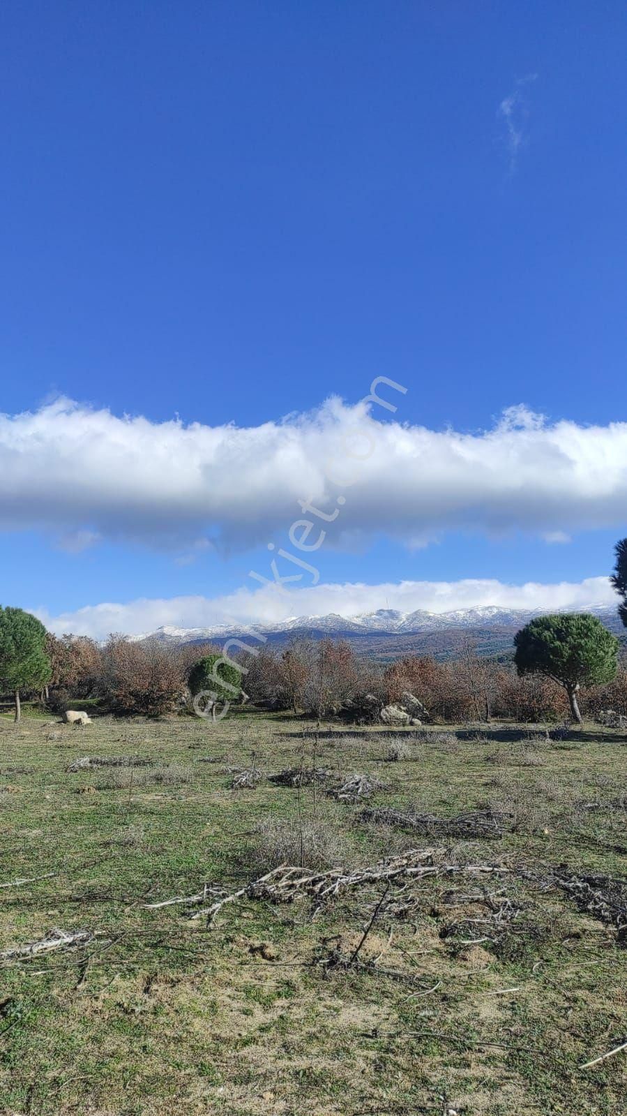 Ays Den Satılık Koop Arsası - Görsel 8