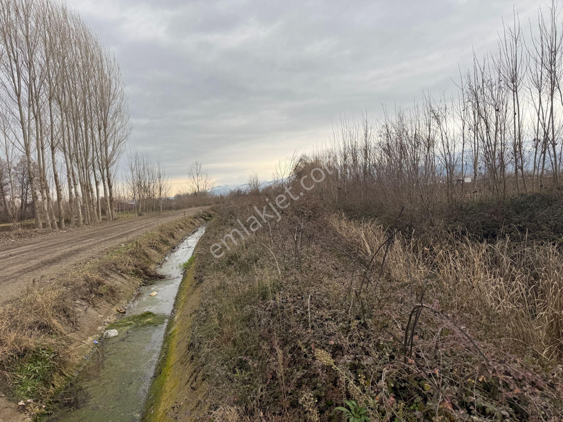 Yankıdan Pazar Ovayurt Köyü Suyu Yolu Olan 12.585m2 Satılık Tarla - Görsel 11