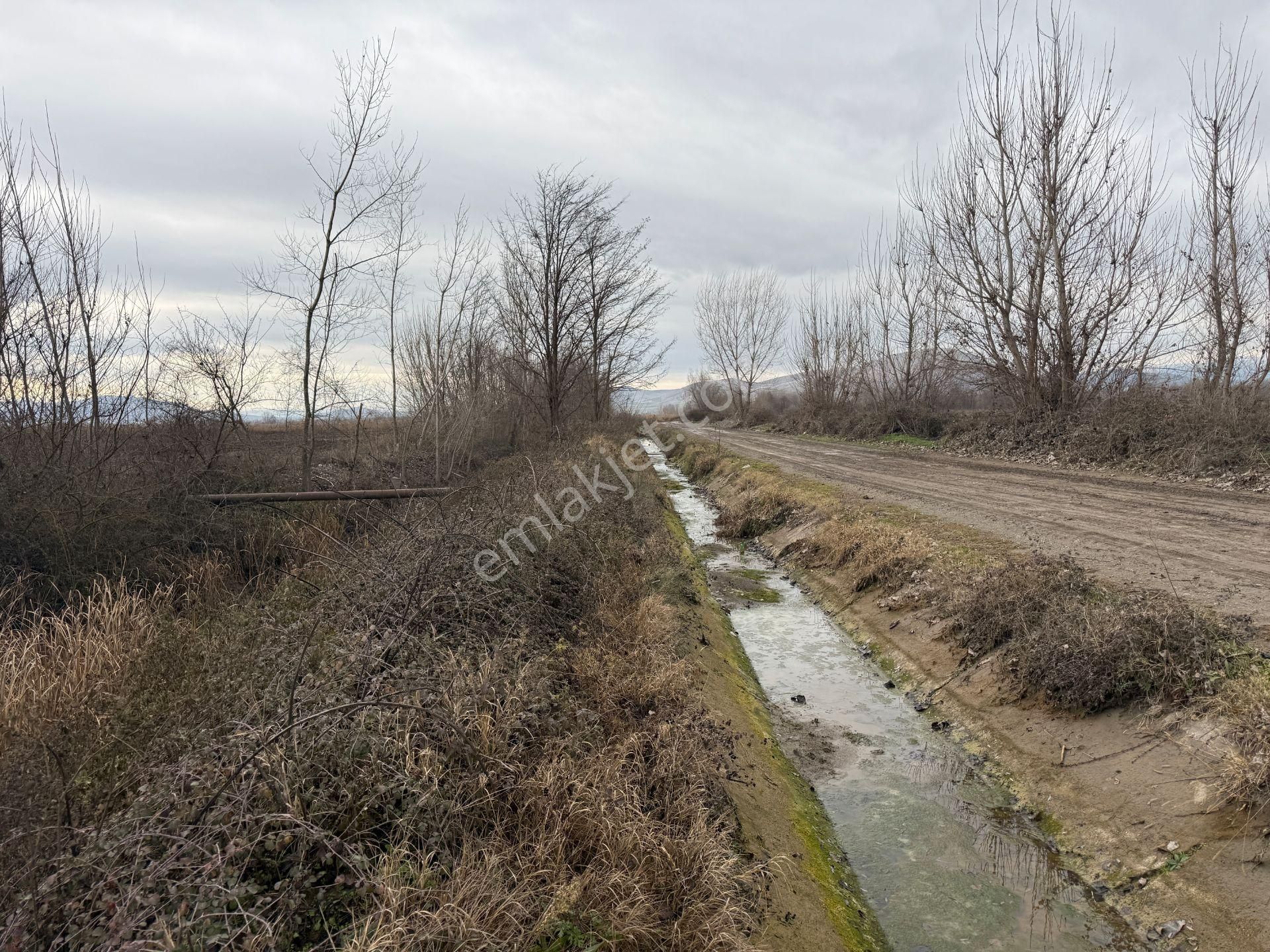 Yankıdan Pazar Ovayurt Köyü Suyu Yolu Olan 12.585m2 Satılık Tarla - Görsel 8