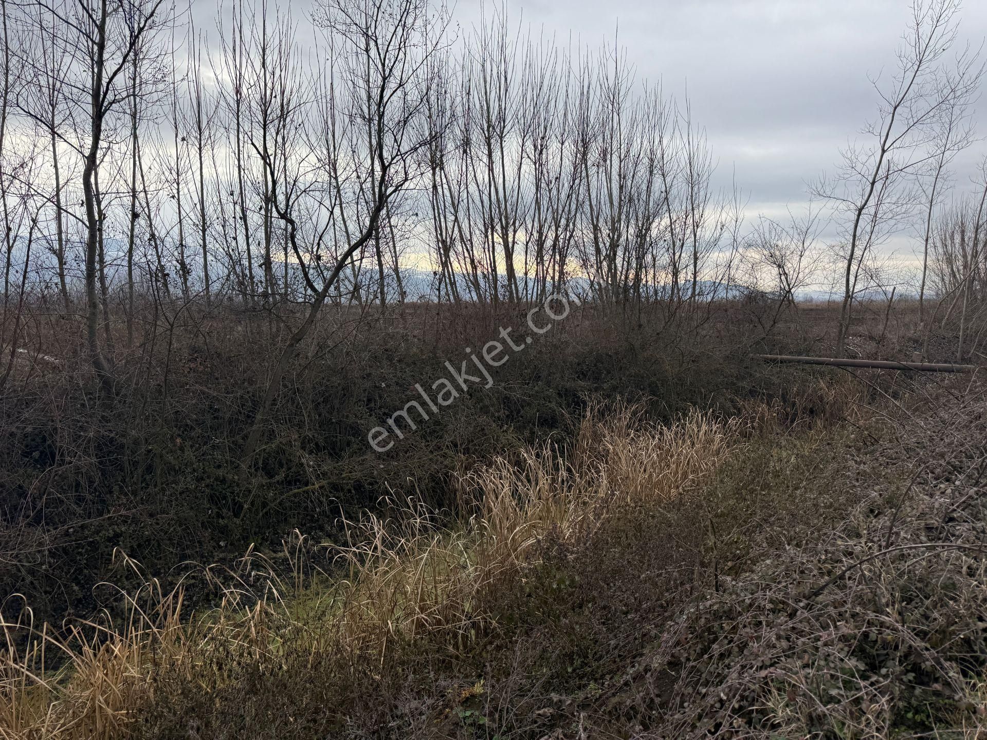 Yankıdan Pazar Ovayurt Köyü Suyu Yolu Olan 12.585m2 Satılık Tarla - Görsel 7
