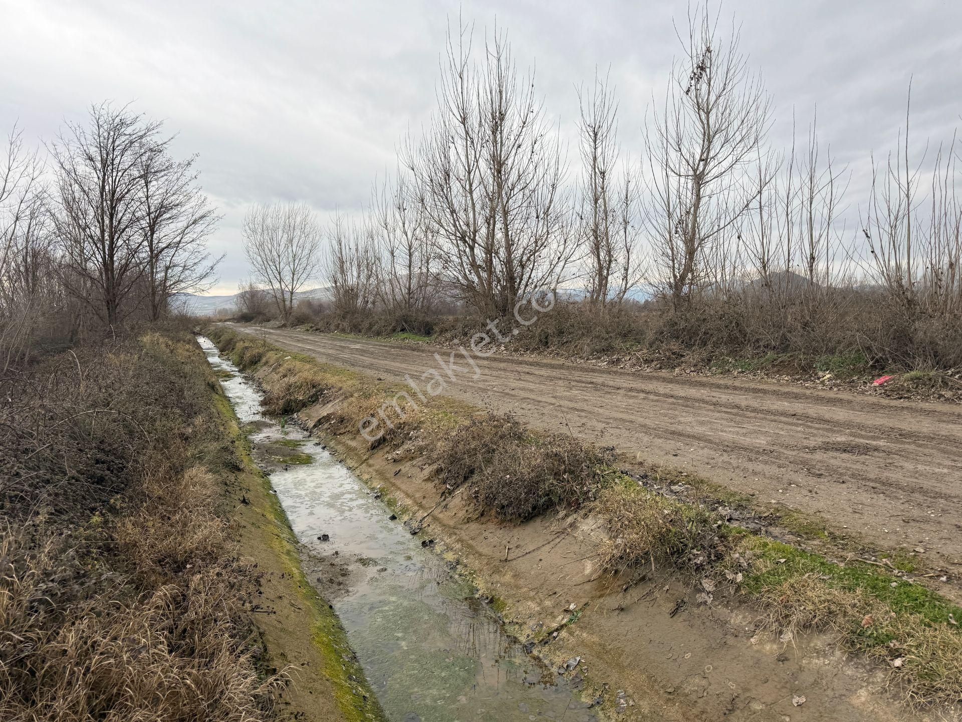 Yankıdan Pazar Ovayurt Köyü Suyu Yolu Olan 12.585m2 Satılık Tarla - Görsel 9