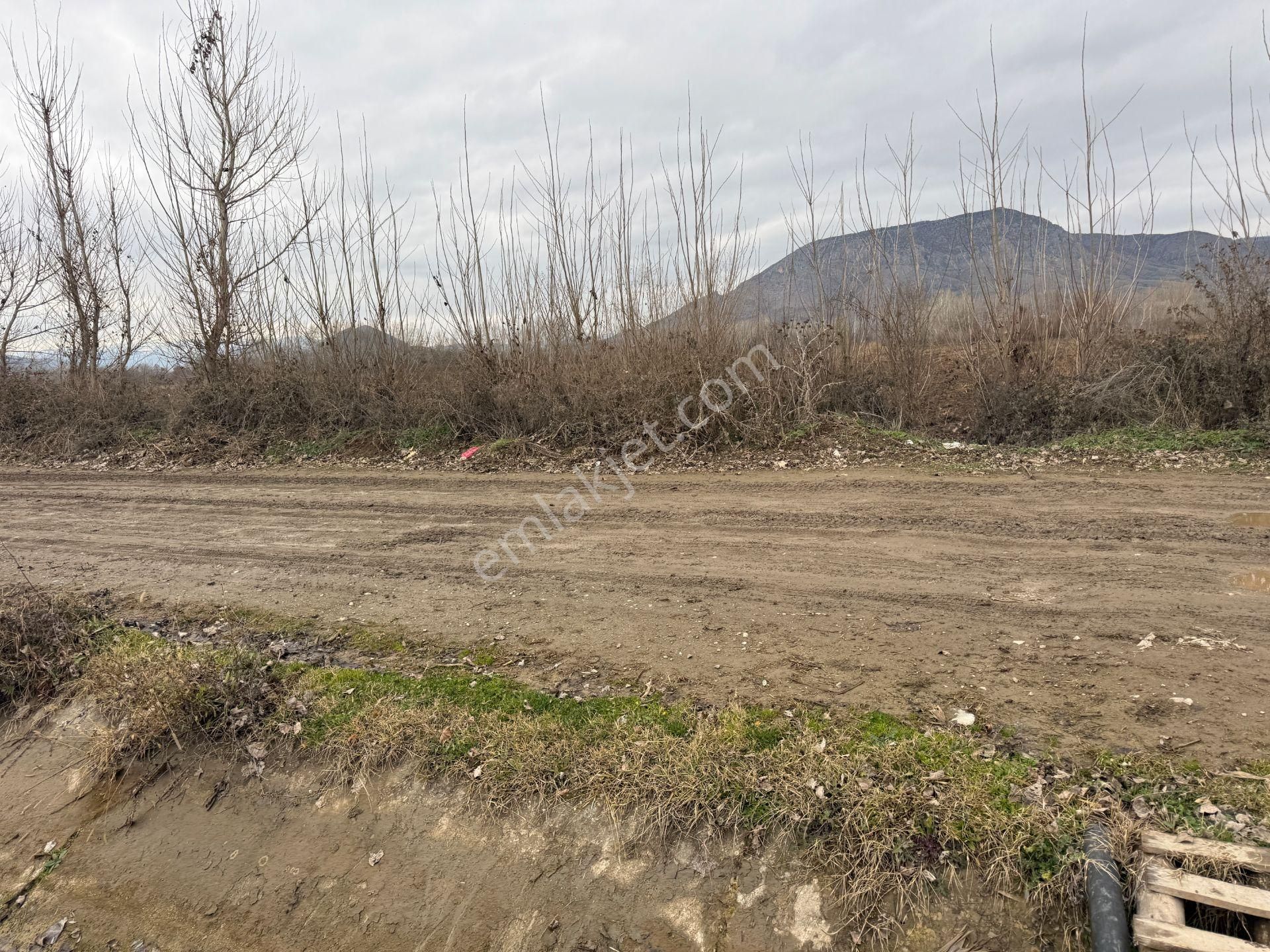 Yankıdan Pazar Ovayurt Köyü Suyu Yolu Olan 12.585m2 Satılık Tarla - Görsel 10