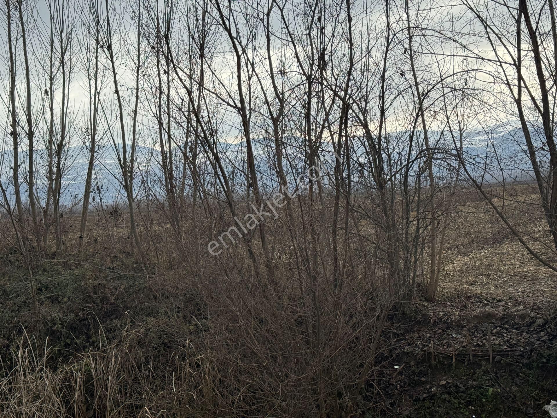 Yankıdan Pazar Ovayurt Köyü Suyu Yolu Olan 12.585m2 Satılık Tarla