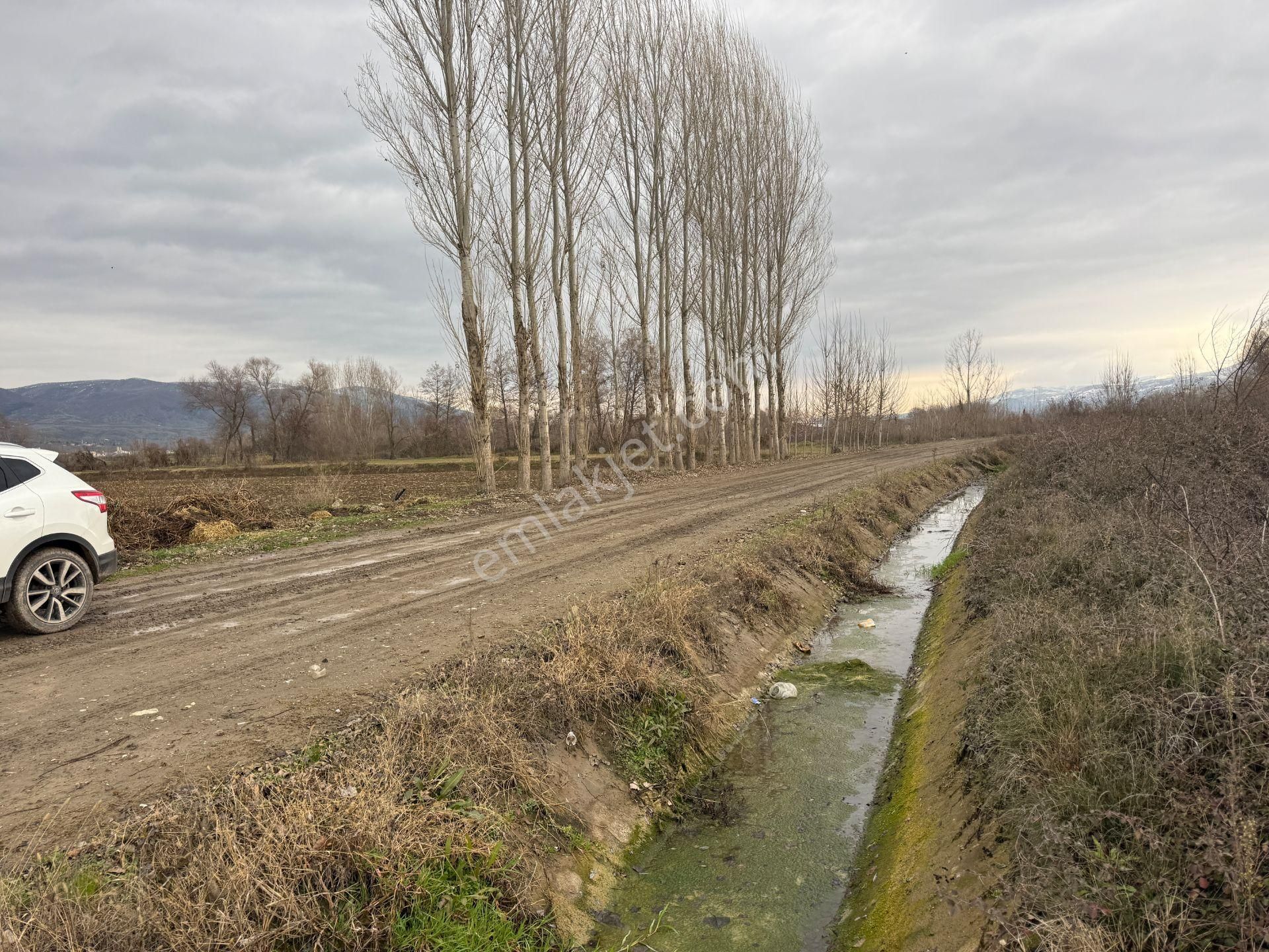 Yankıdan Pazar Ovayurt Köyü Suyu Yolu Olan 12.585m2 Satılık Tarla - Görsel 12