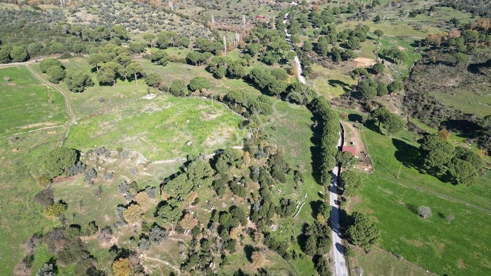 Hb’den Satılık Tarla, 41.511 M² Müstakil Tapulu, Ulaşımı Kolay - Görsel 4