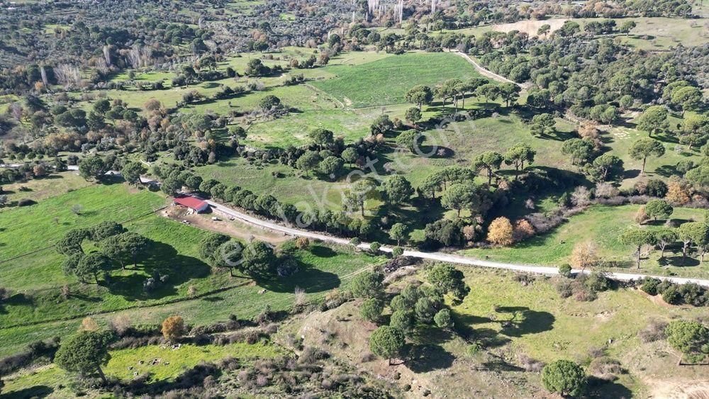 Hb’den Satılık Tarla, 41.511 M² Müstakil Tapulu, Ulaşımı Kolay - Görsel 7