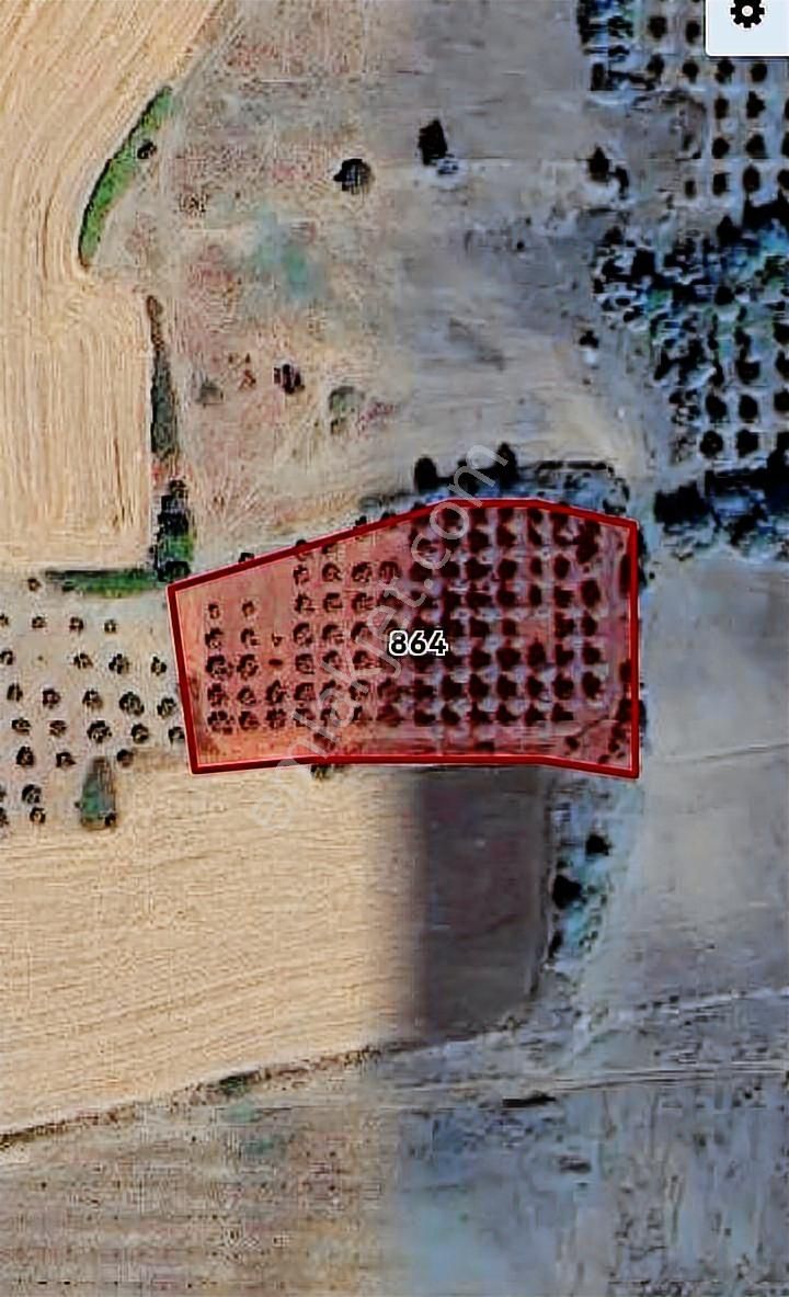 Selçuklu'dan Doğla'da Yerleşime Yakın Fırsat Tarla - Görsel 2