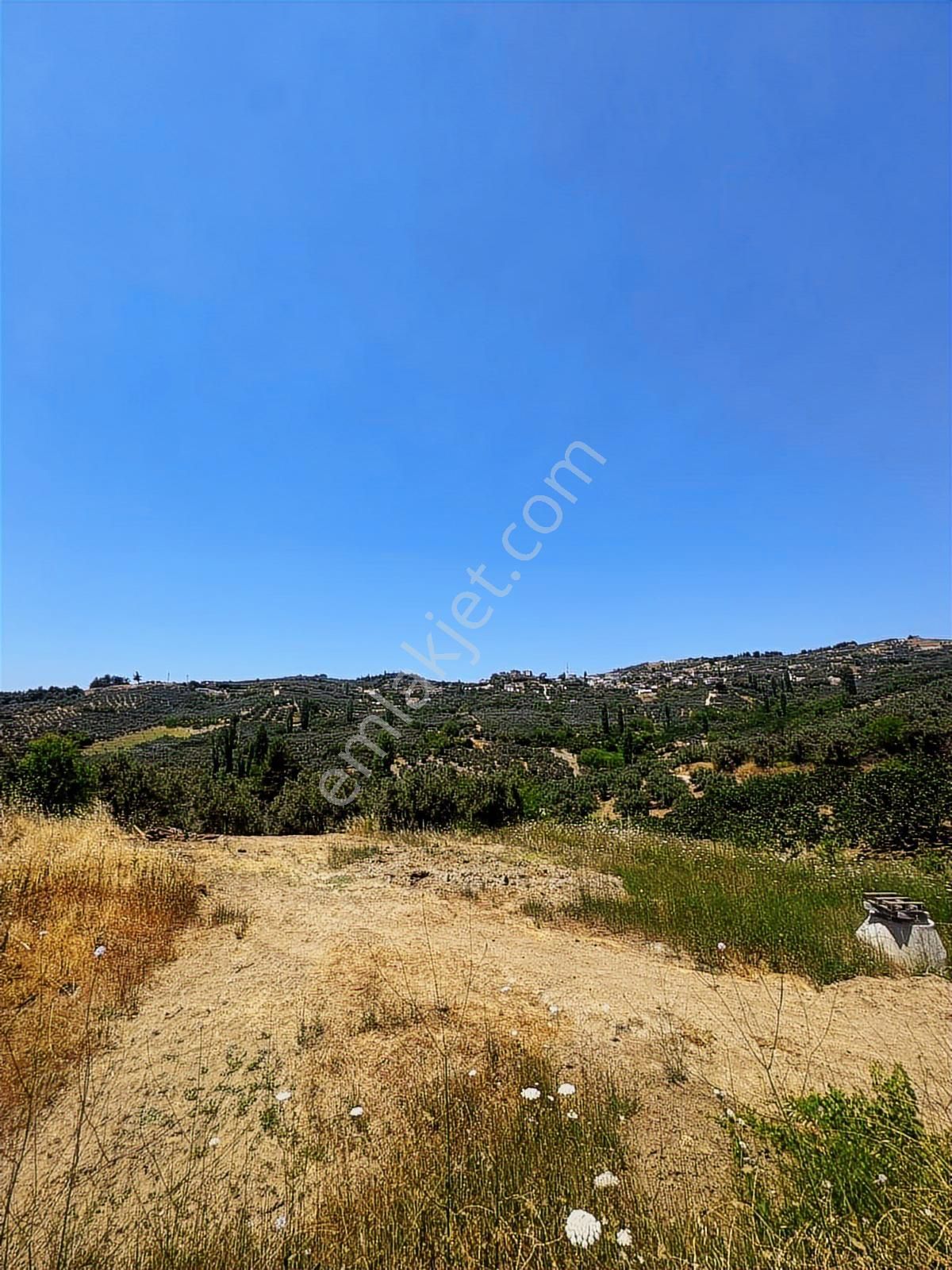 Mudanya İpekyayla'da Müstakil Tapulu 317m2 Fırsat Tarla!!! - Görsel 2