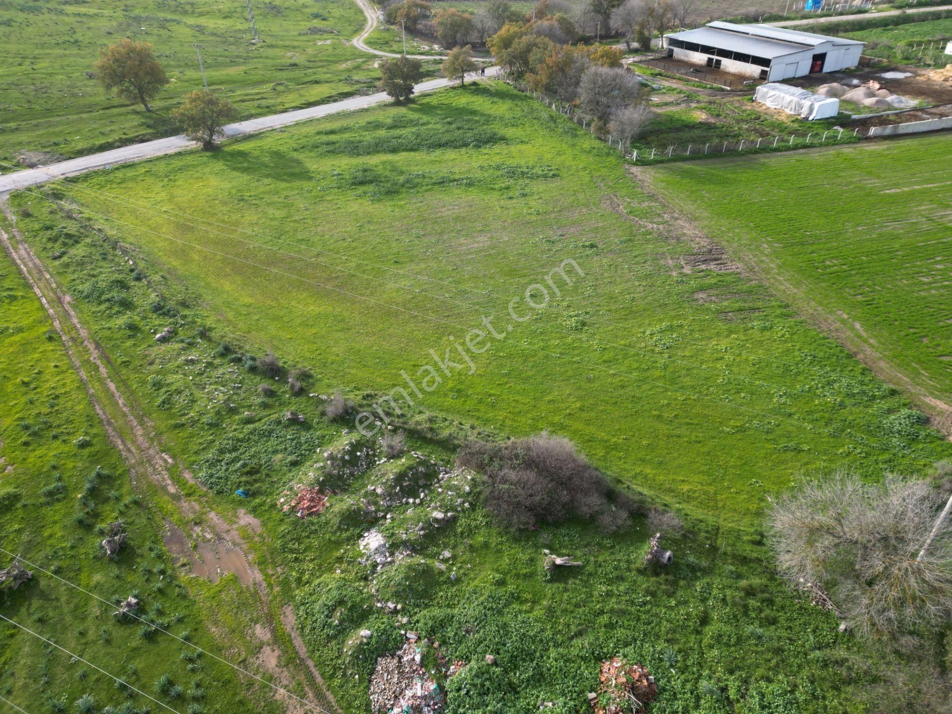 Bergama Çitköyde Yola Cephe Satılık Tarla - Görsel 9
