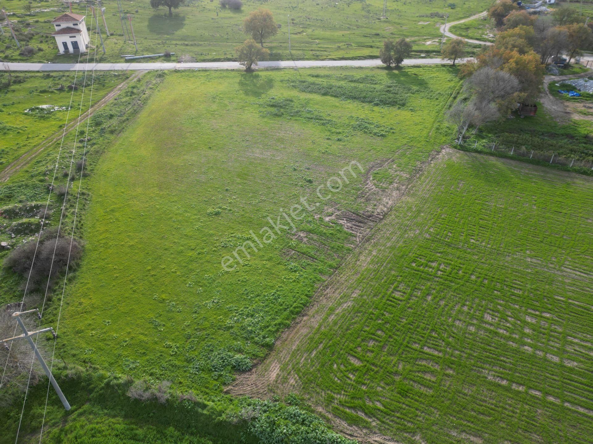 Bergama Çitköyde Yola Cephe Satılık Tarla - Görsel 7