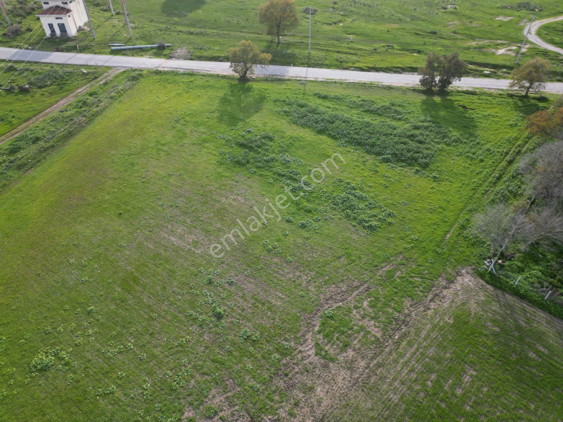 Bergama Çitköyde Yola Cephe Satılık Tarla - Görsel 6