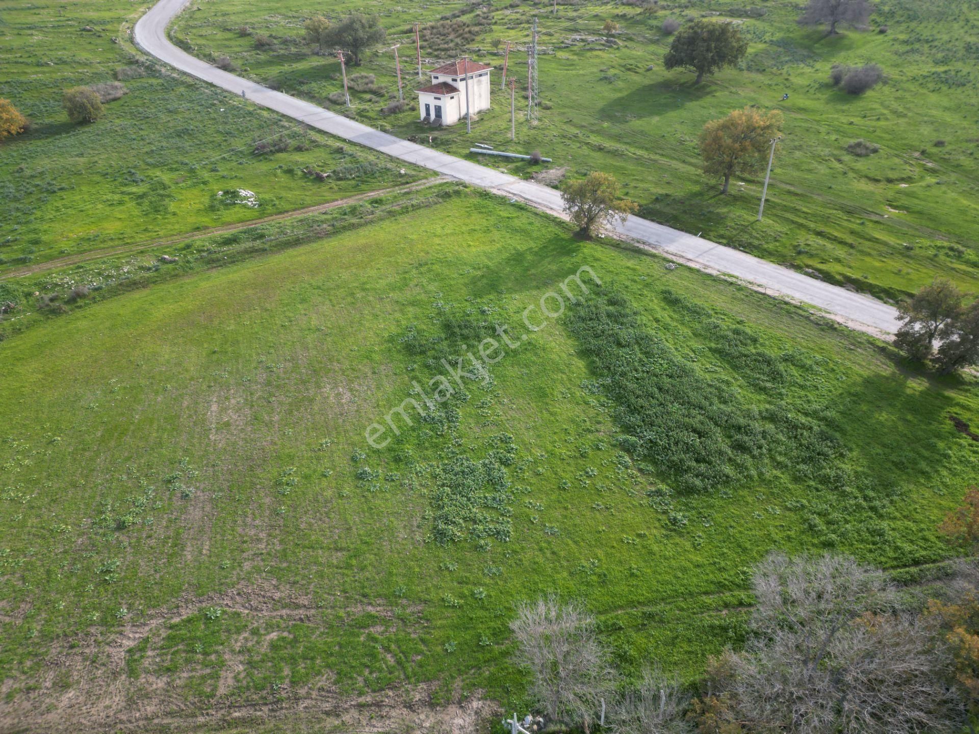 Bergama Çitköyde Yola Cephe Satılık Tarla - Görsel 5