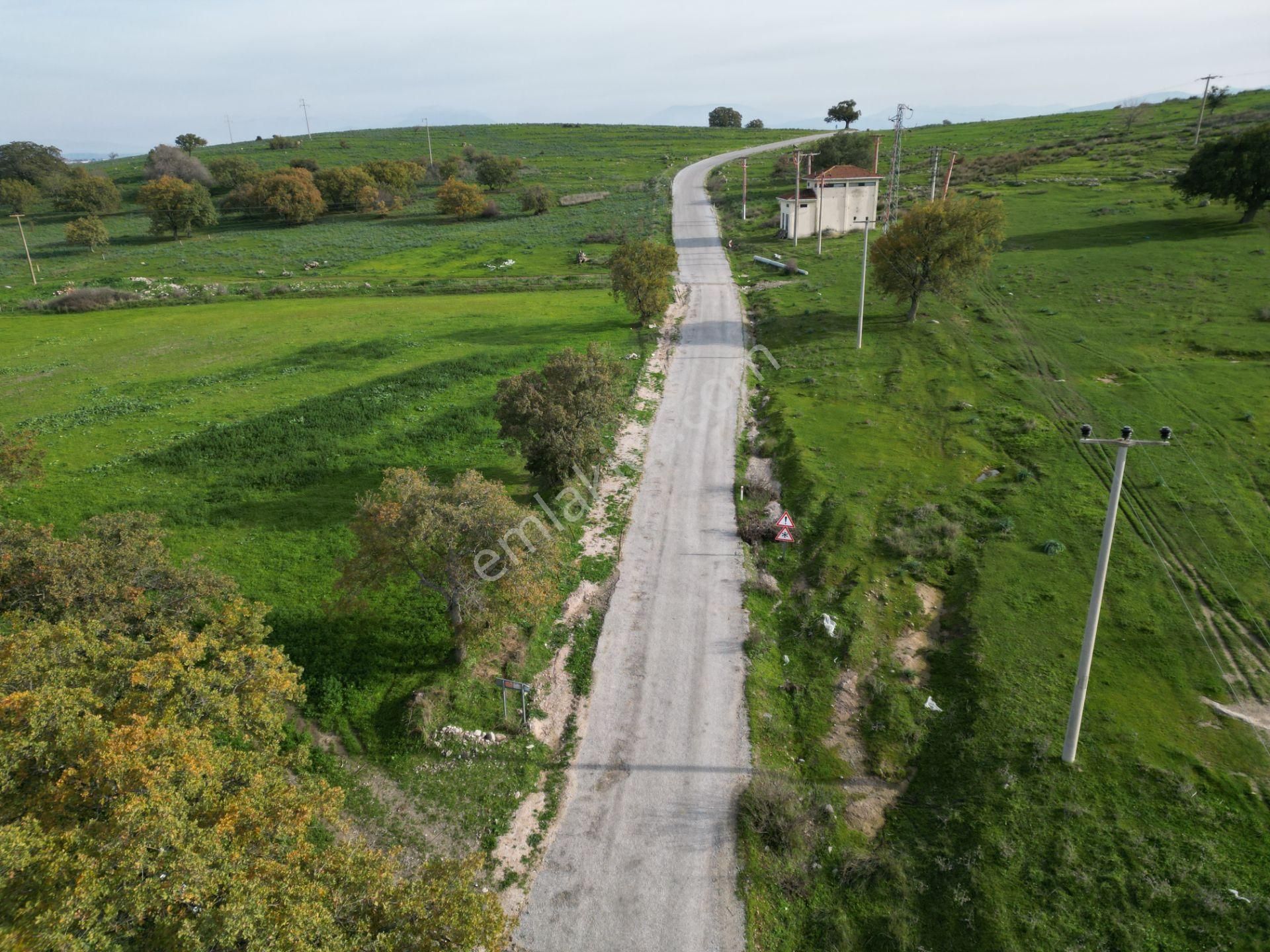 Bergama Çitköyde Yola Cephe Satılık Tarla - Görsel 3