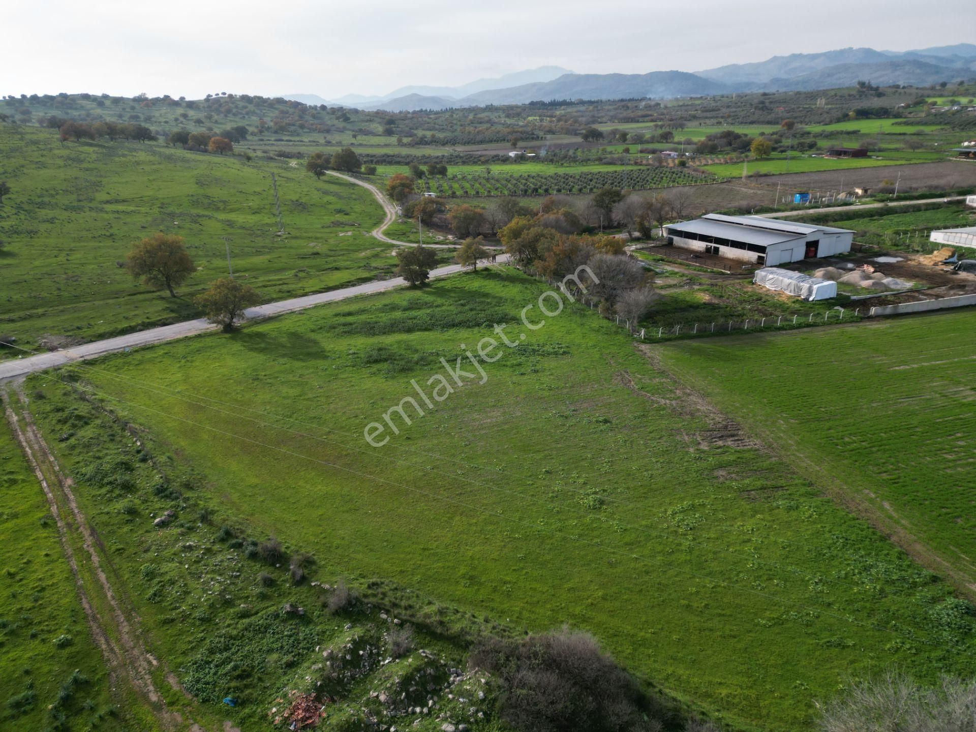 Bergama Çitköyde Yola Cephe Satılık Tarla