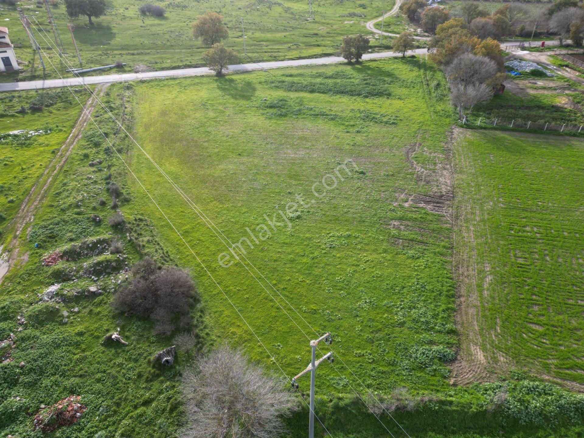 Bergama Çitköyde Yola Cephe Satılık Tarla - Görsel 8