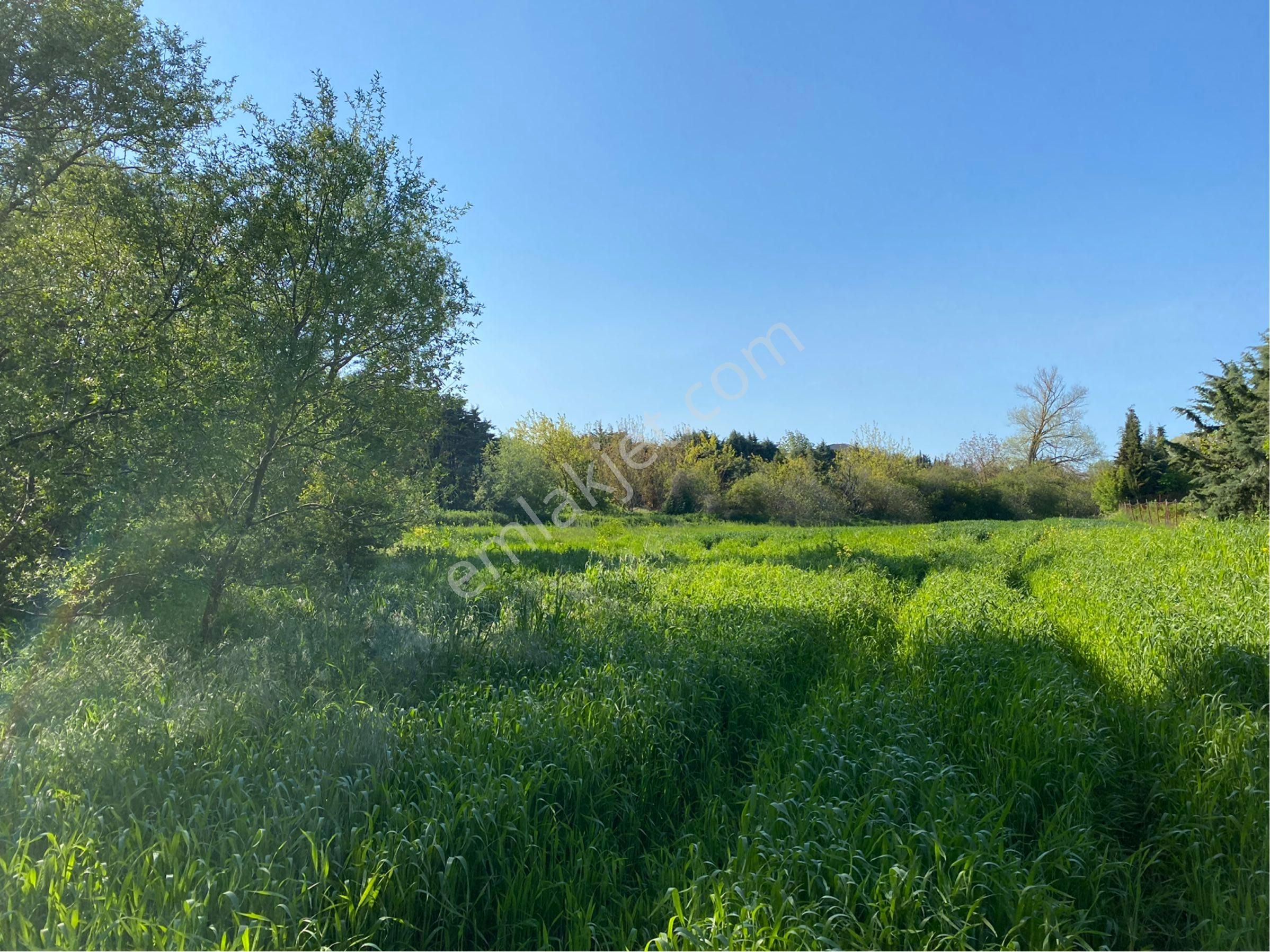 Çatalca Elbasan Arsa - Görsel 3