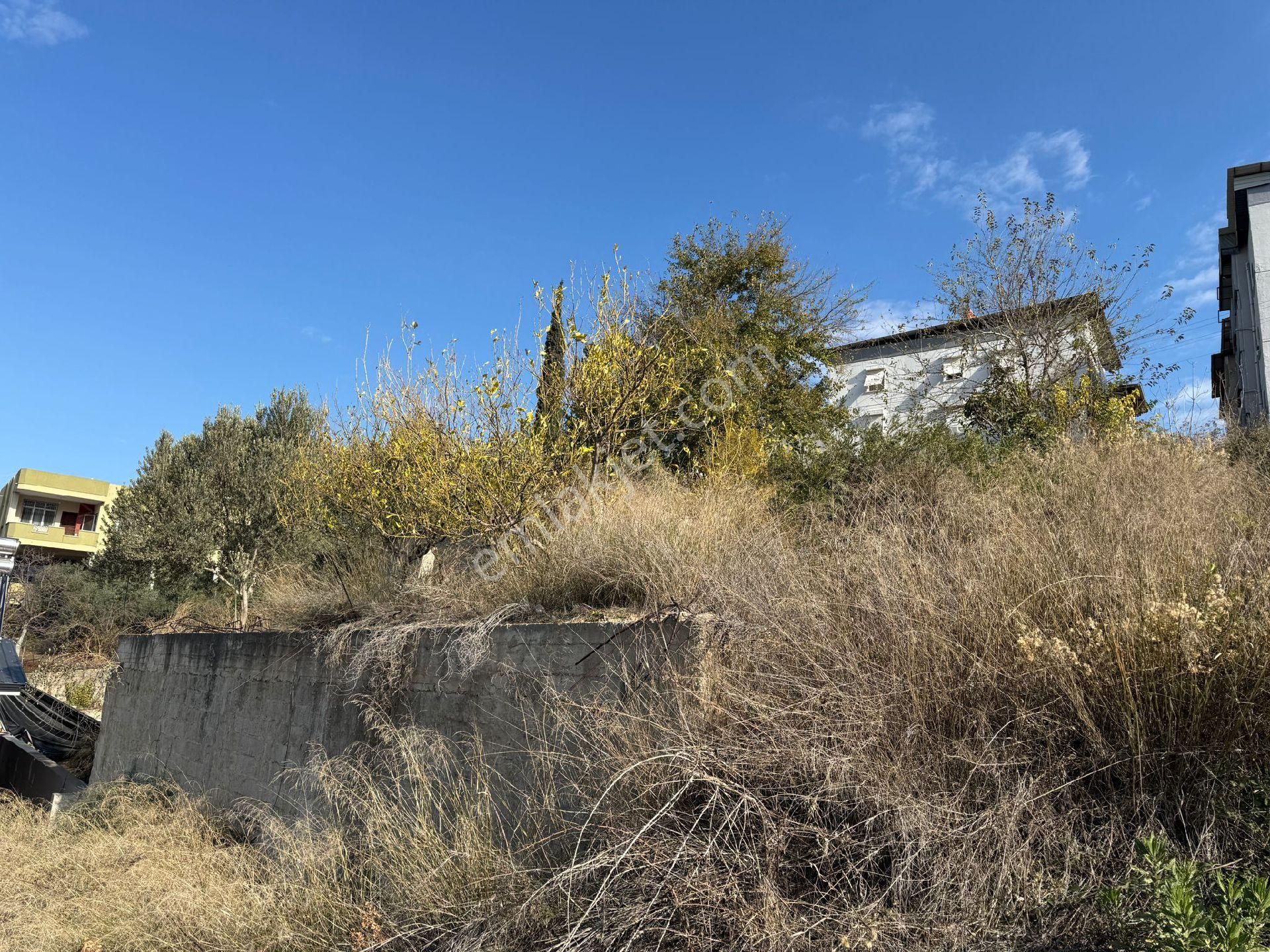 100.yilda Satilik Hazir Temelli Arsa - Görsel 4